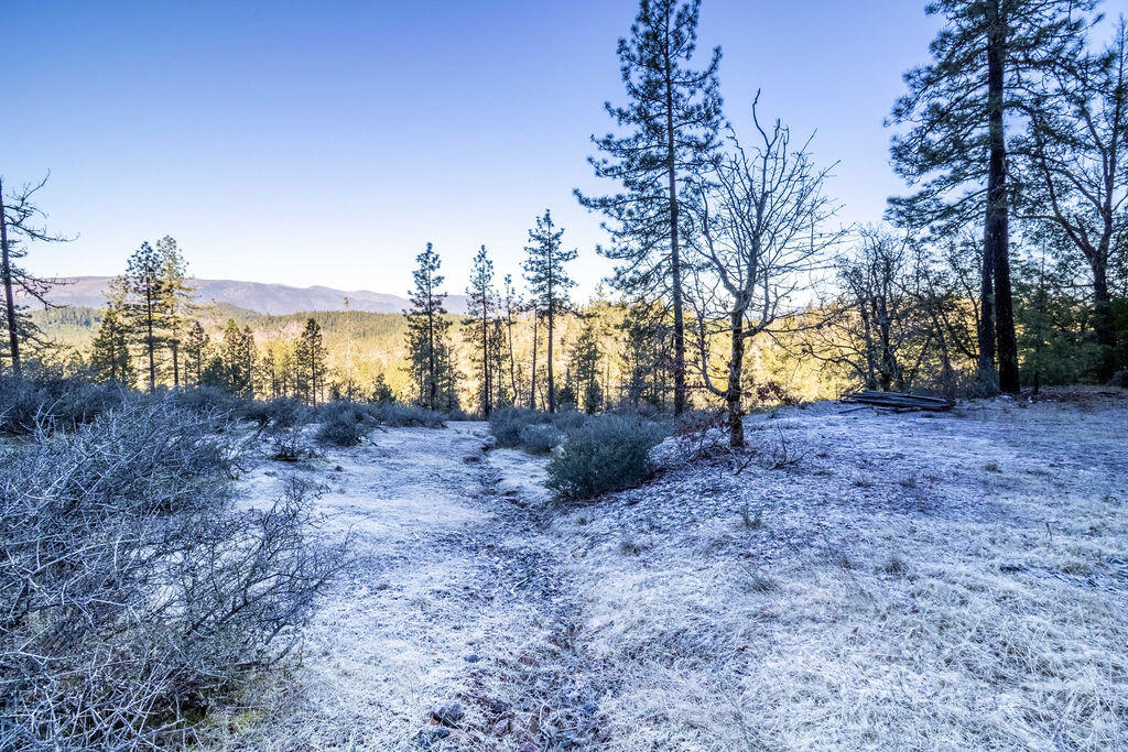 0 Waldo Road, 403, O'Brien Unit: 403