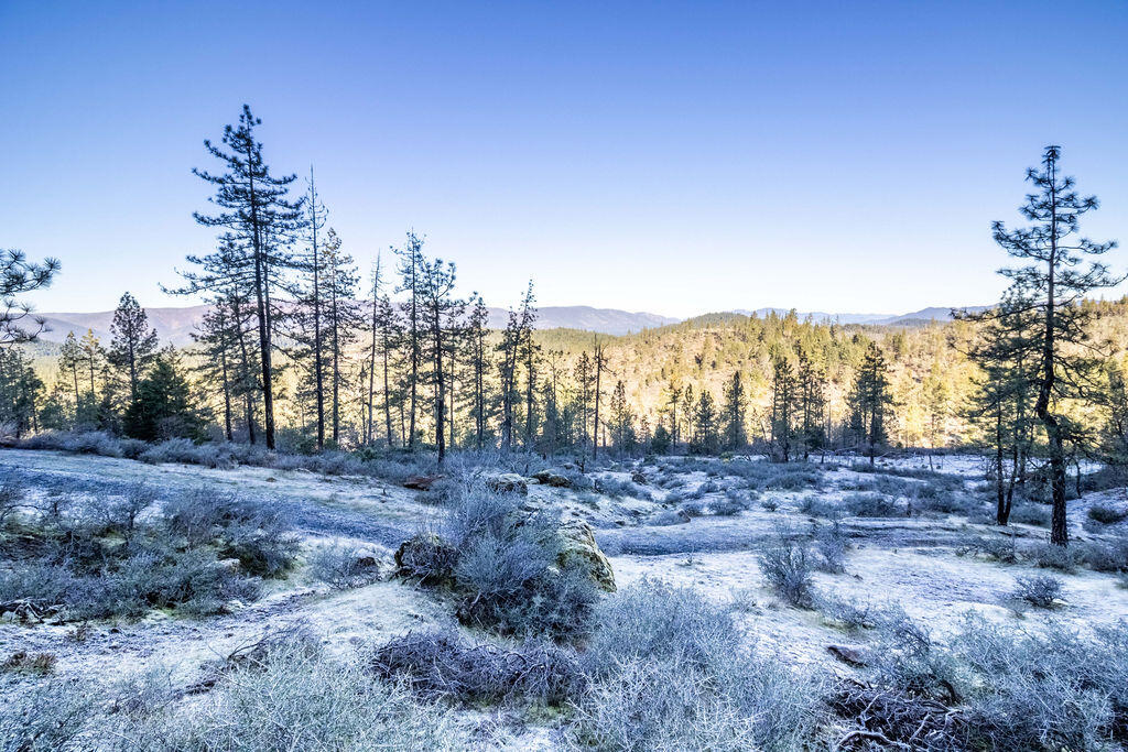 0 Waldo Road, 403, O'Brien Unit: 403