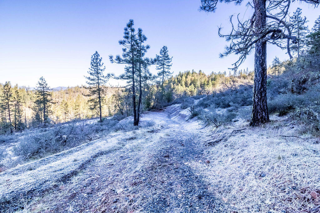 0 Waldo Road, 403, O'Brien Unit: 403