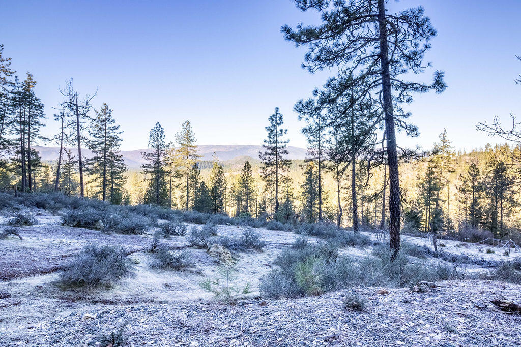 0 Waldo Road, 403, O'Brien Unit: 403