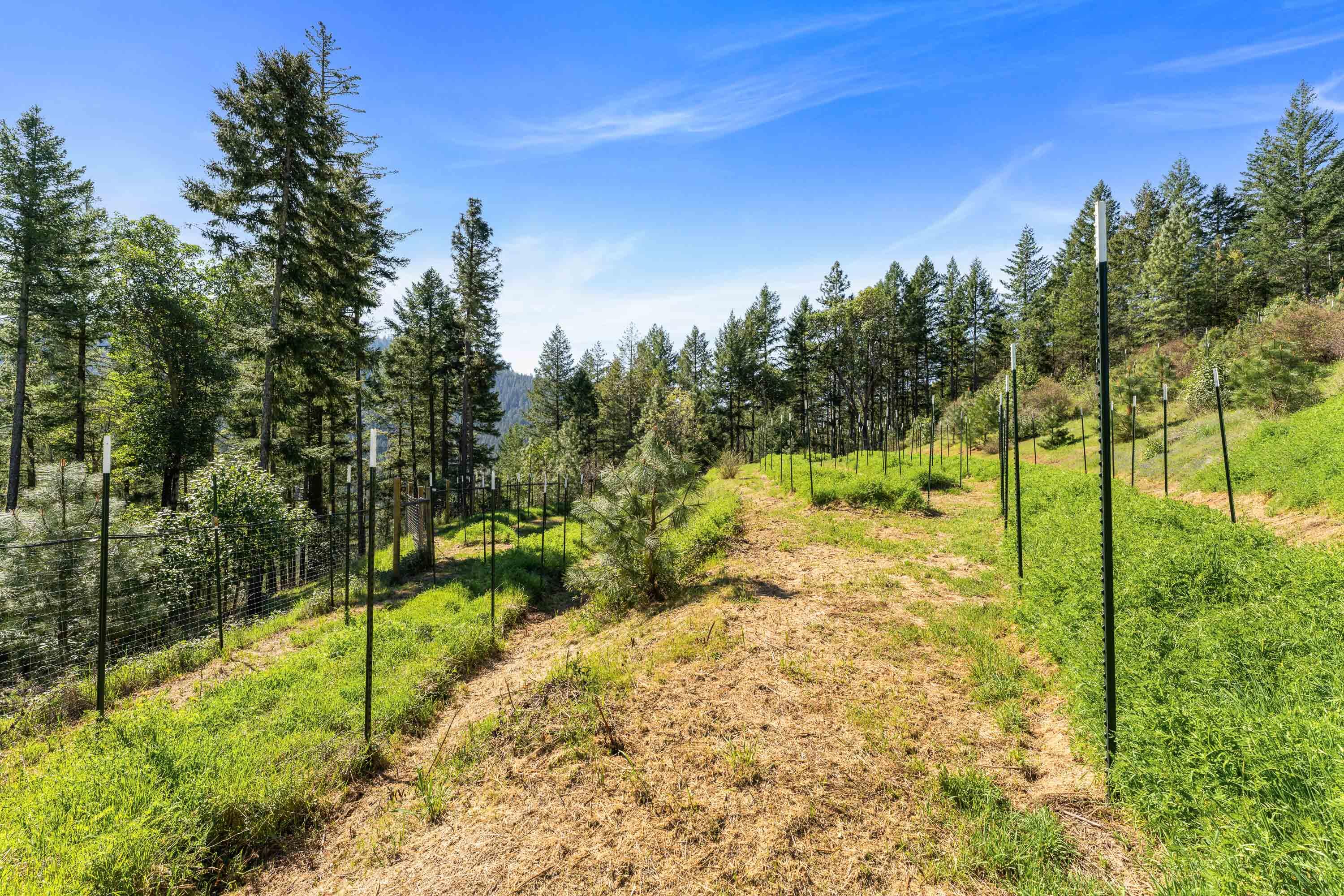 17939 E Evans Creek Road