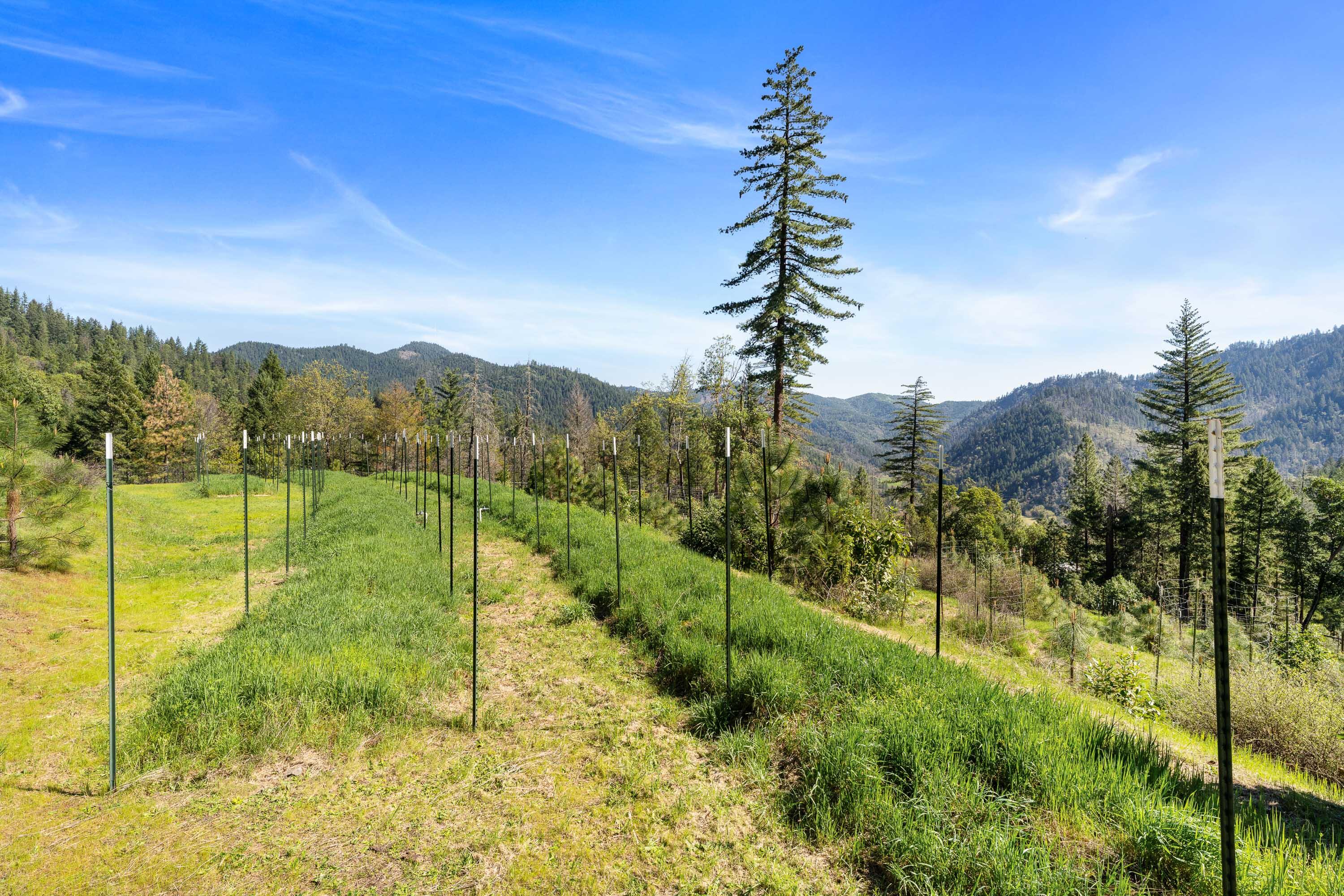17939 E Evans Creek Road