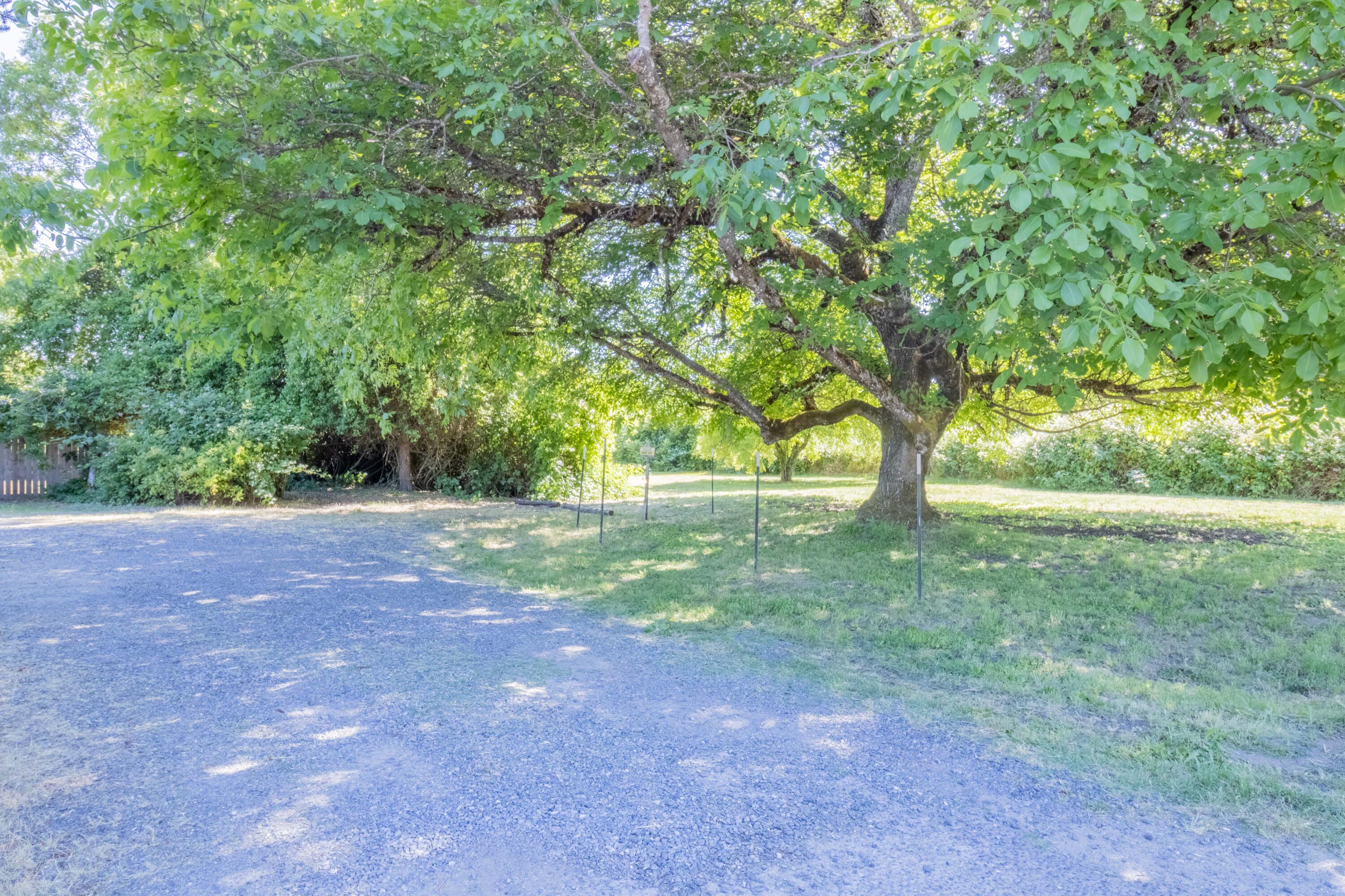 2087 Upper River