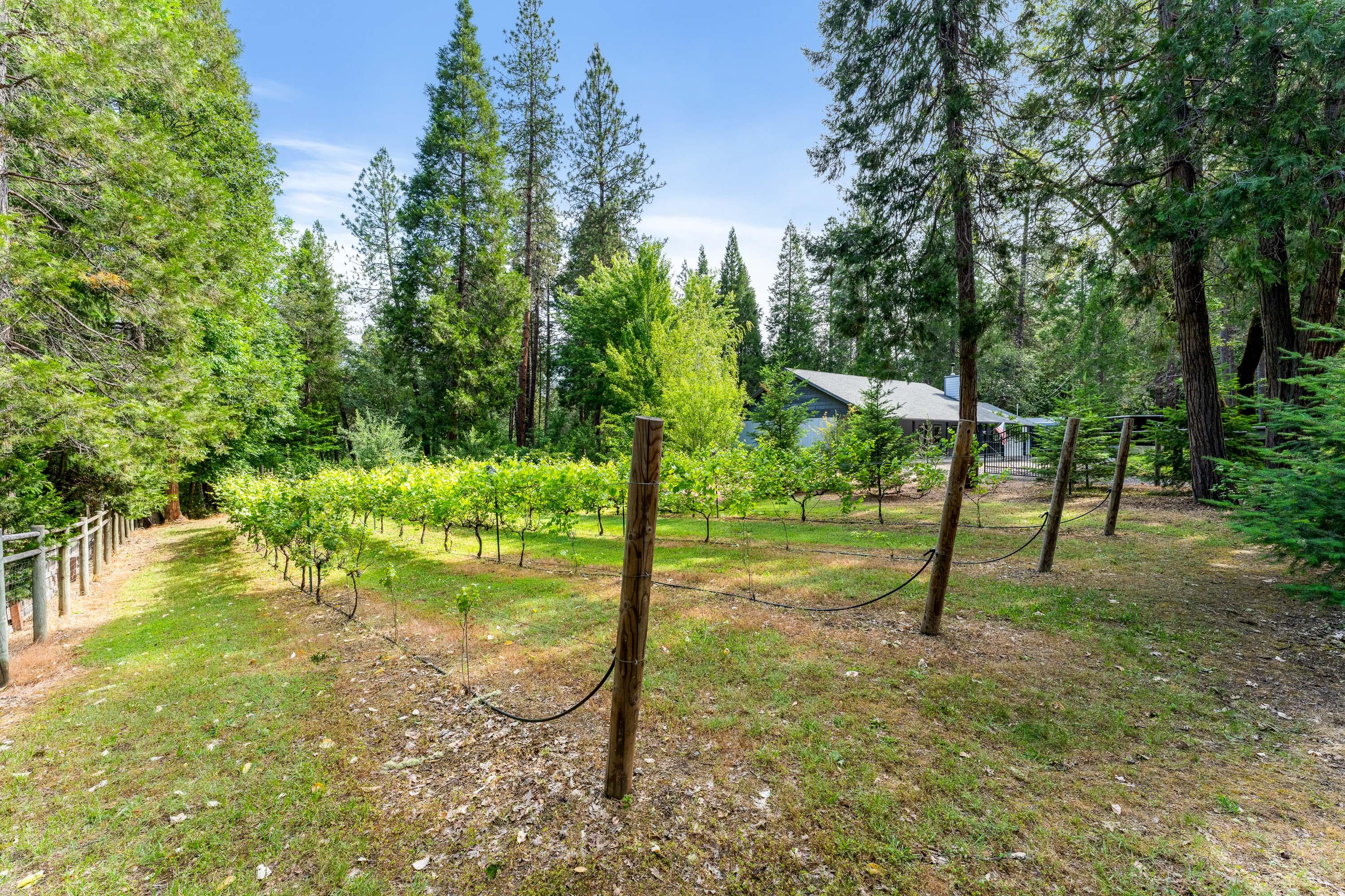 5876 Donaldson Road