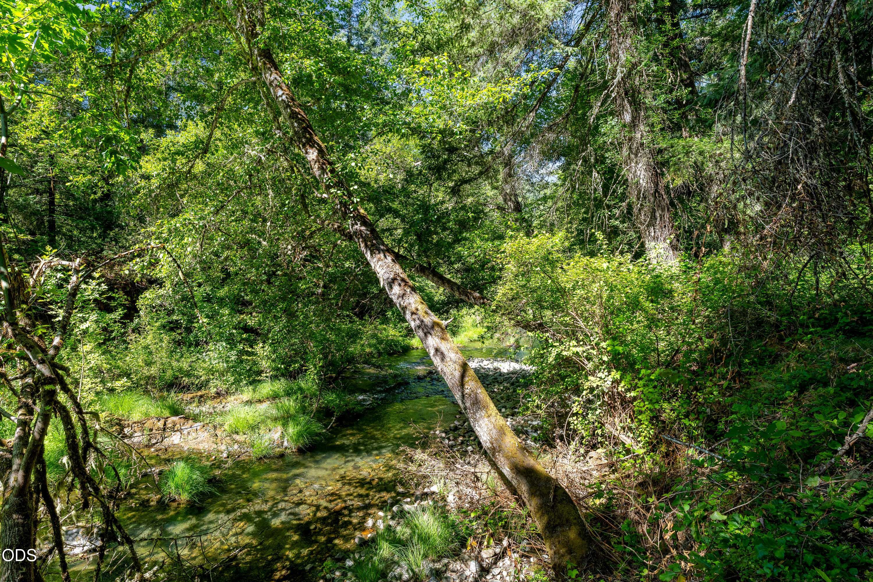 0 Lower Grave Creek Road