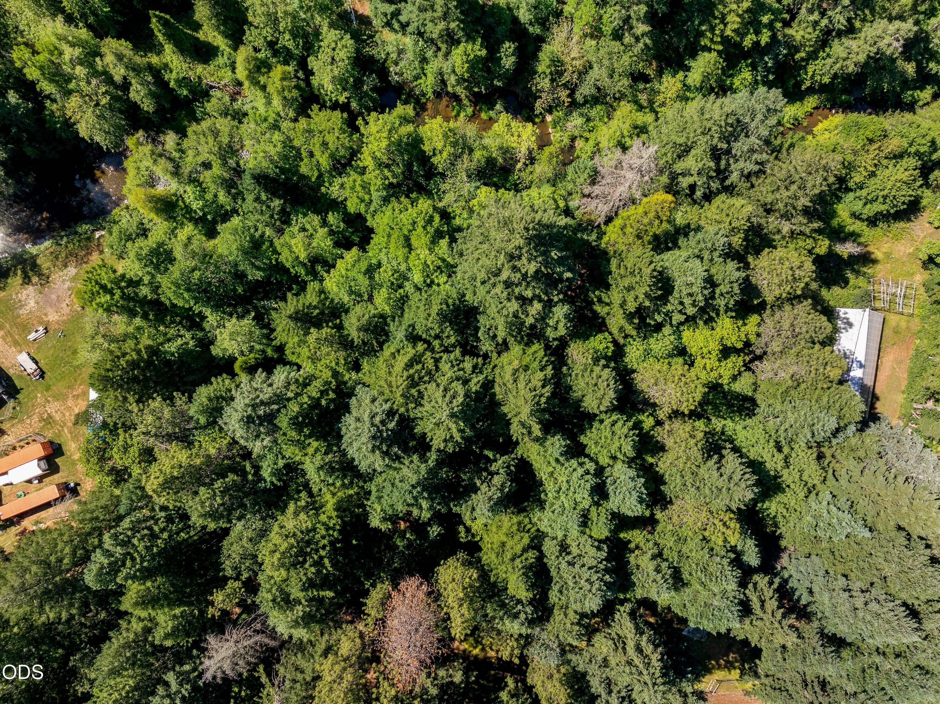 0 Lower Grave Creek Road
