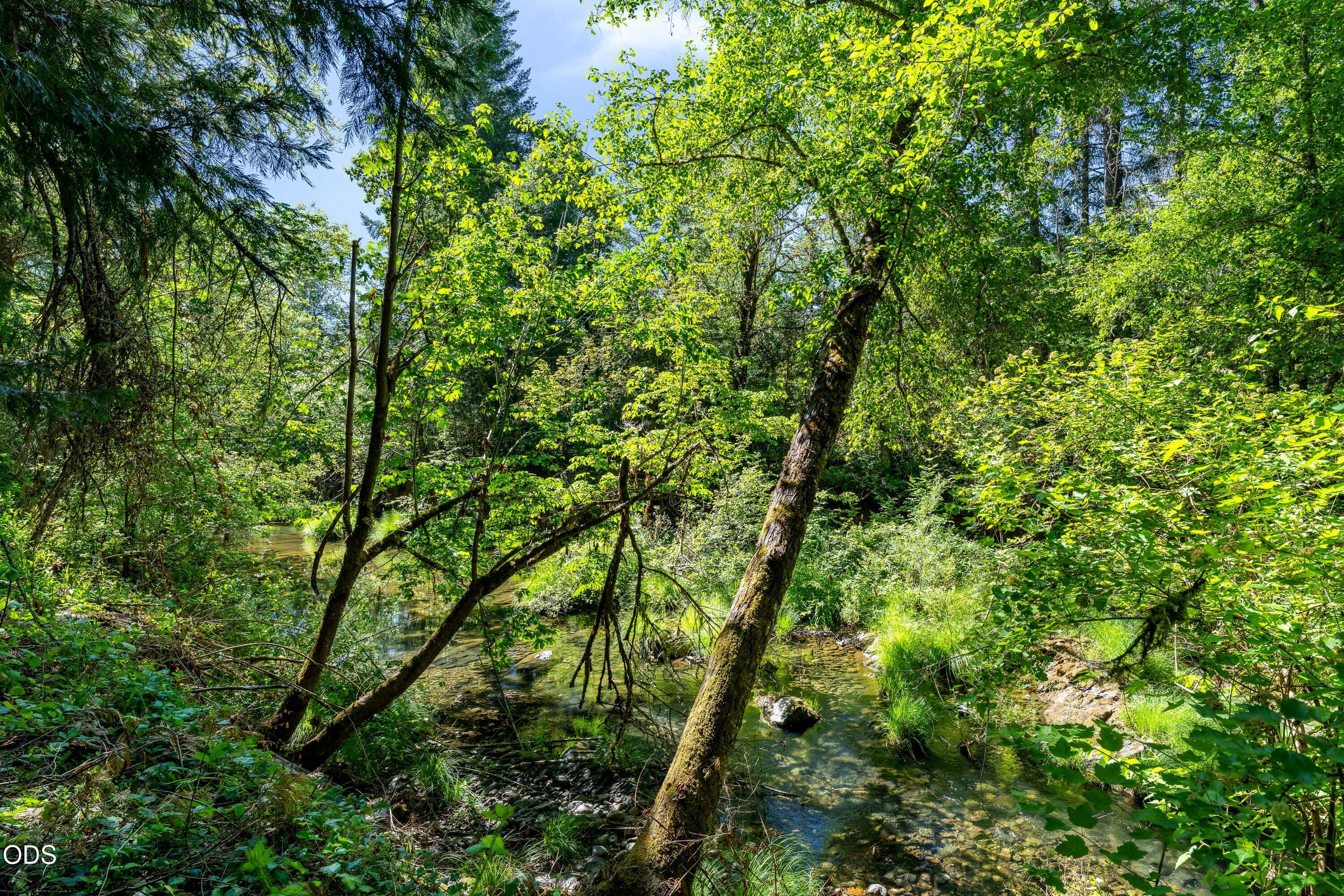 0 Lower Grave Creek Road