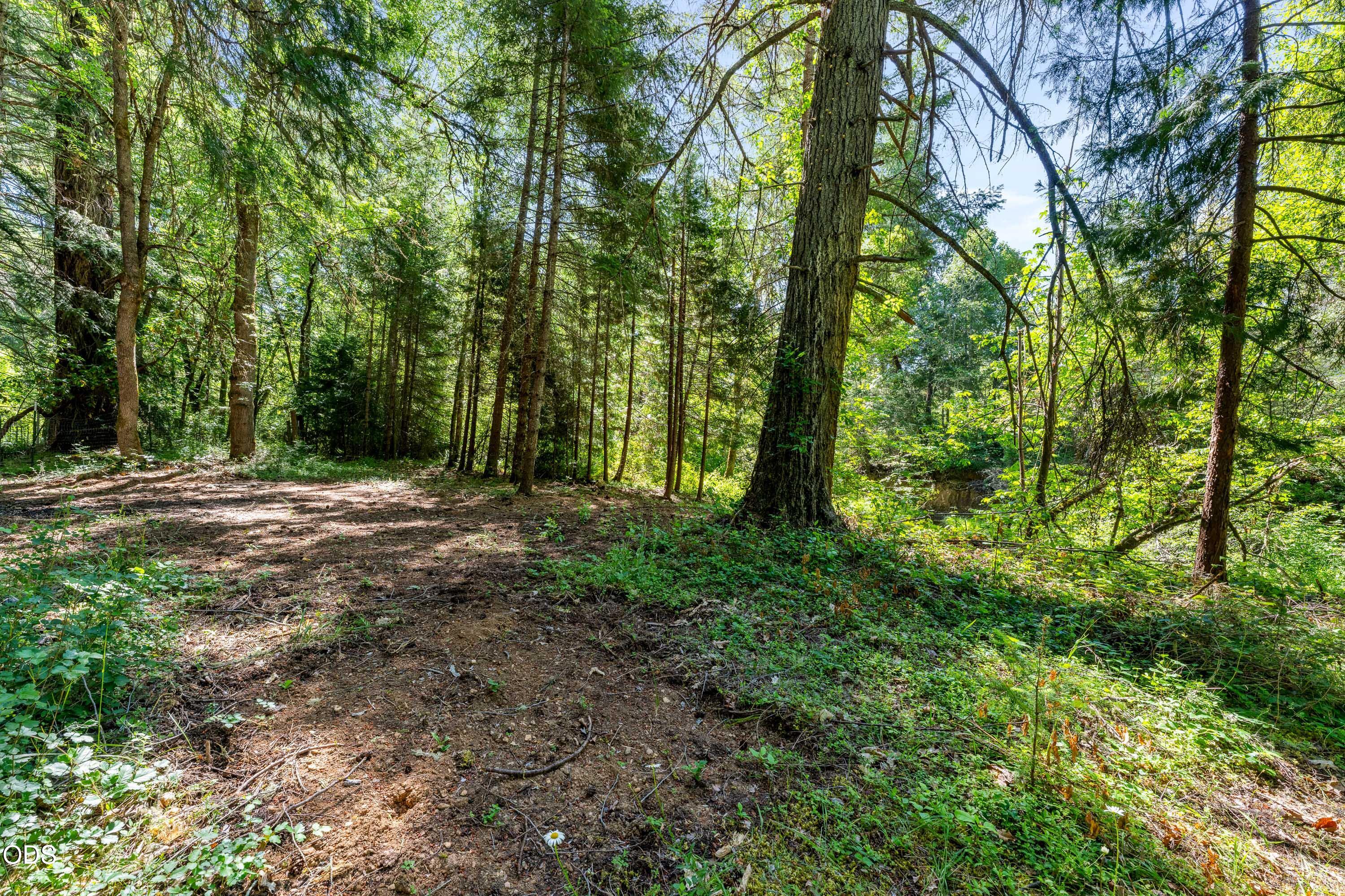 0 Lower Grave Creek Road