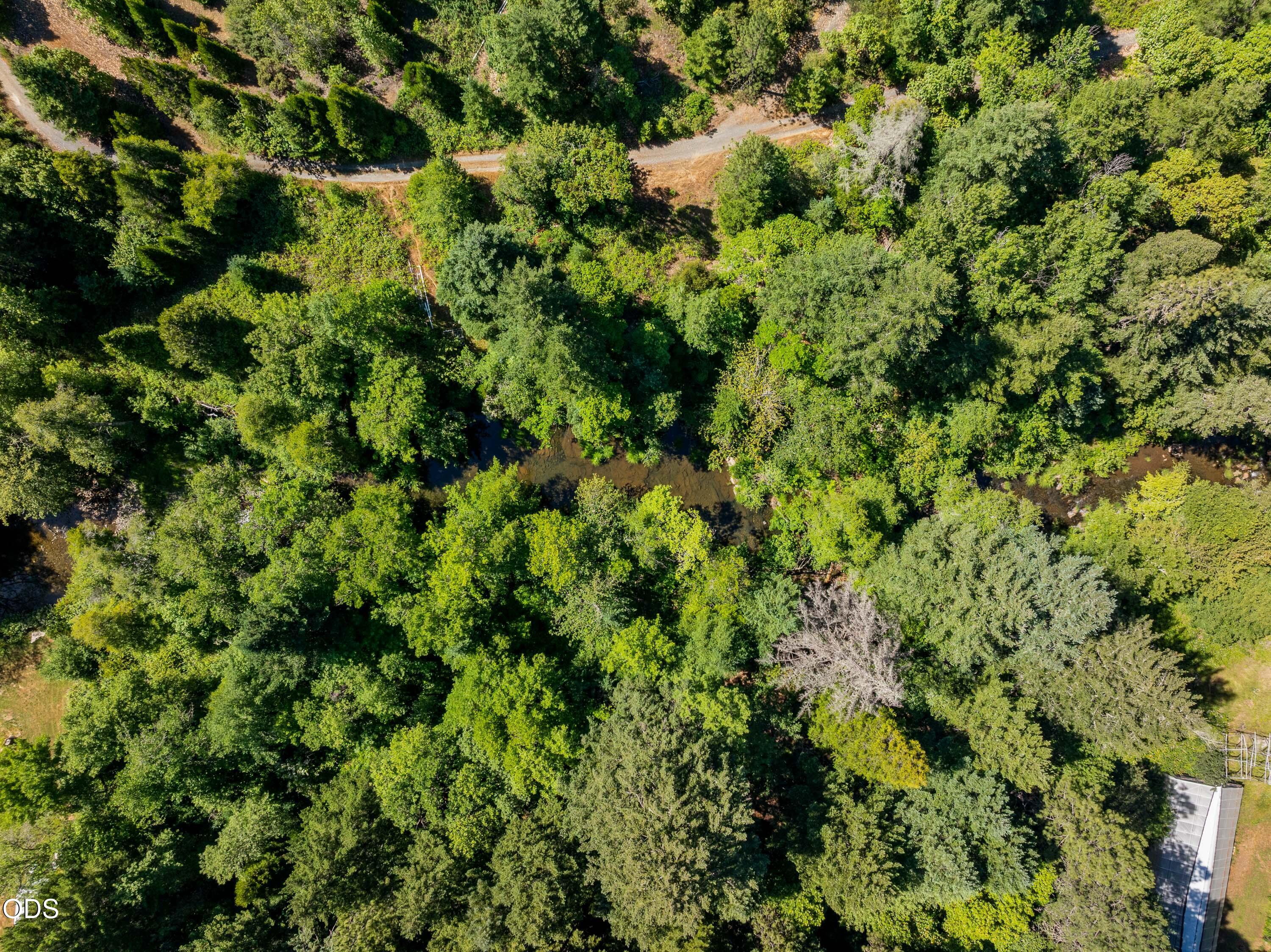 0 Lower Grave Creek Road