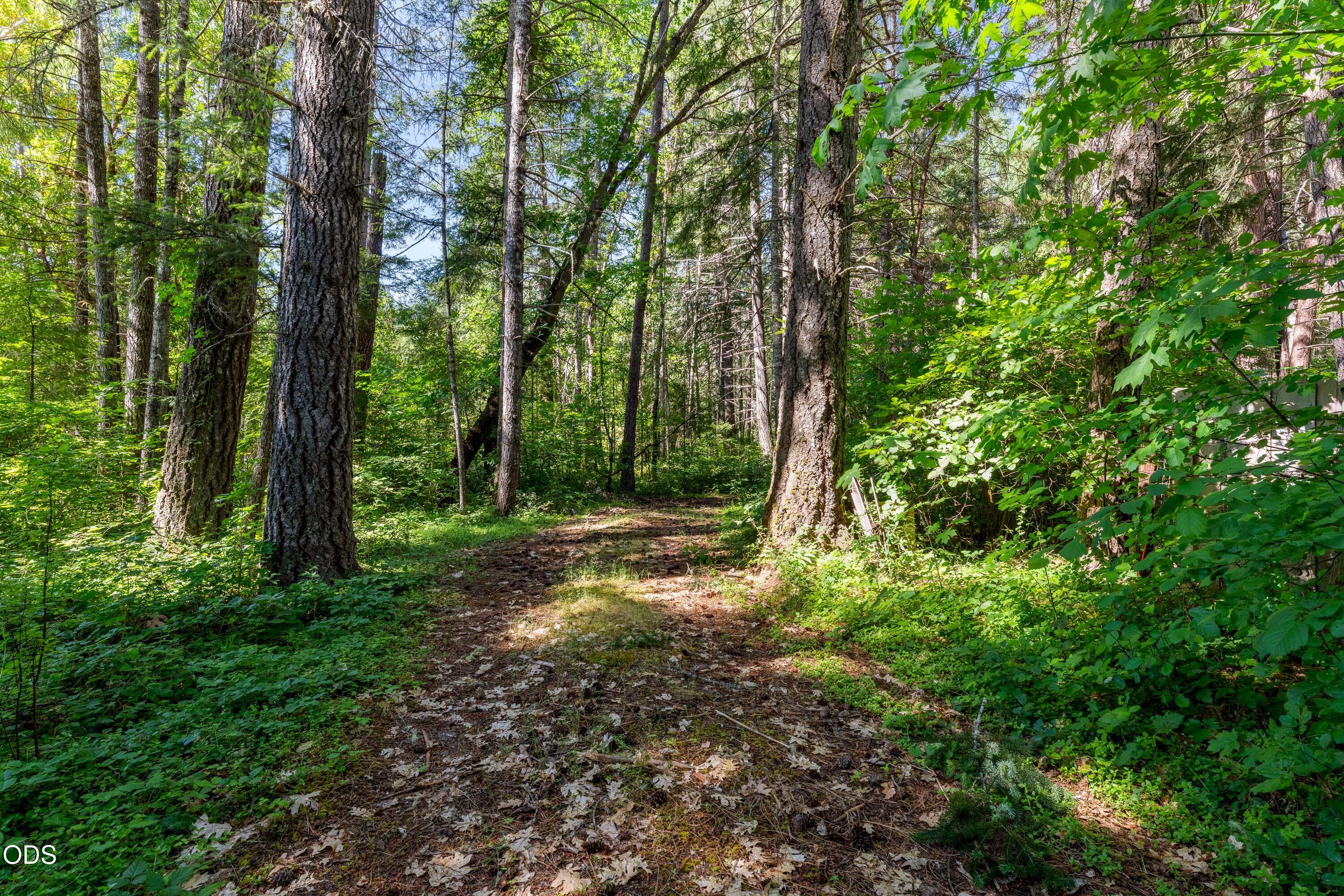 0 Lower Grave Creek Road