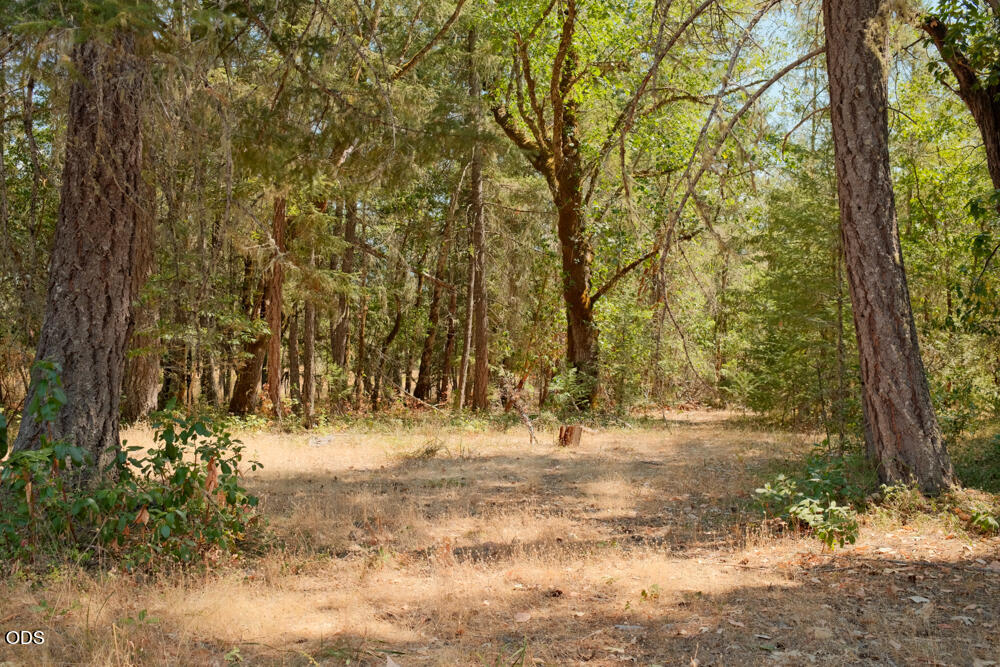 3781 Dick George Road