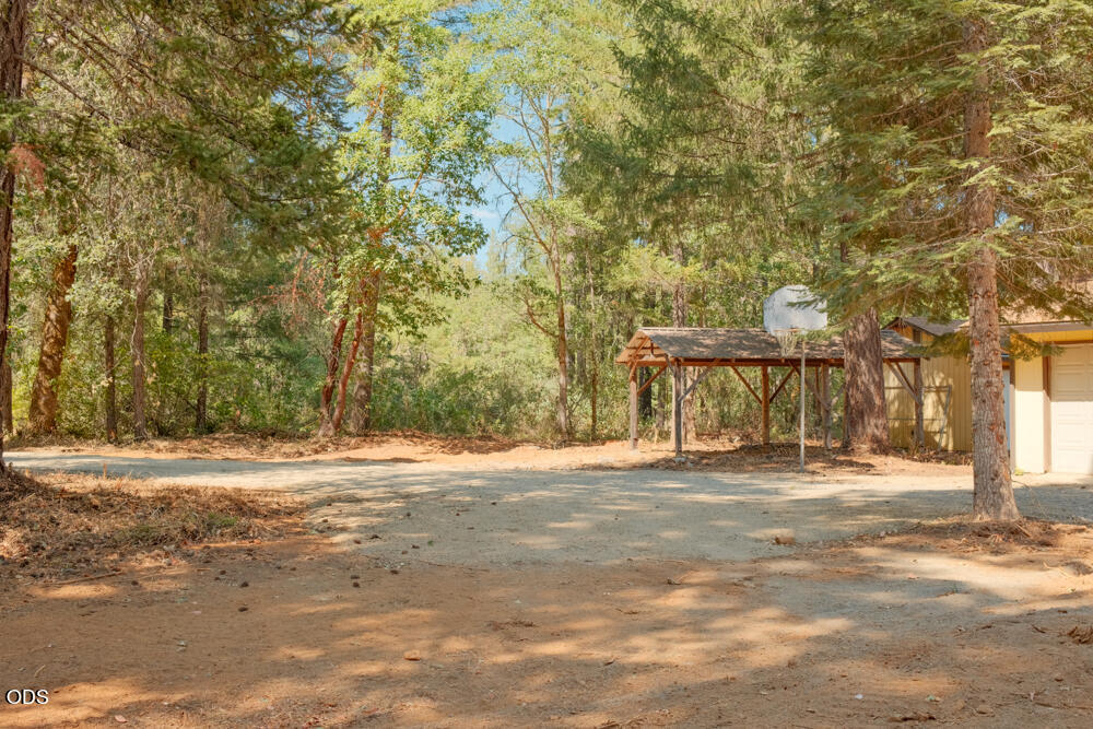 3781 Dick George Road