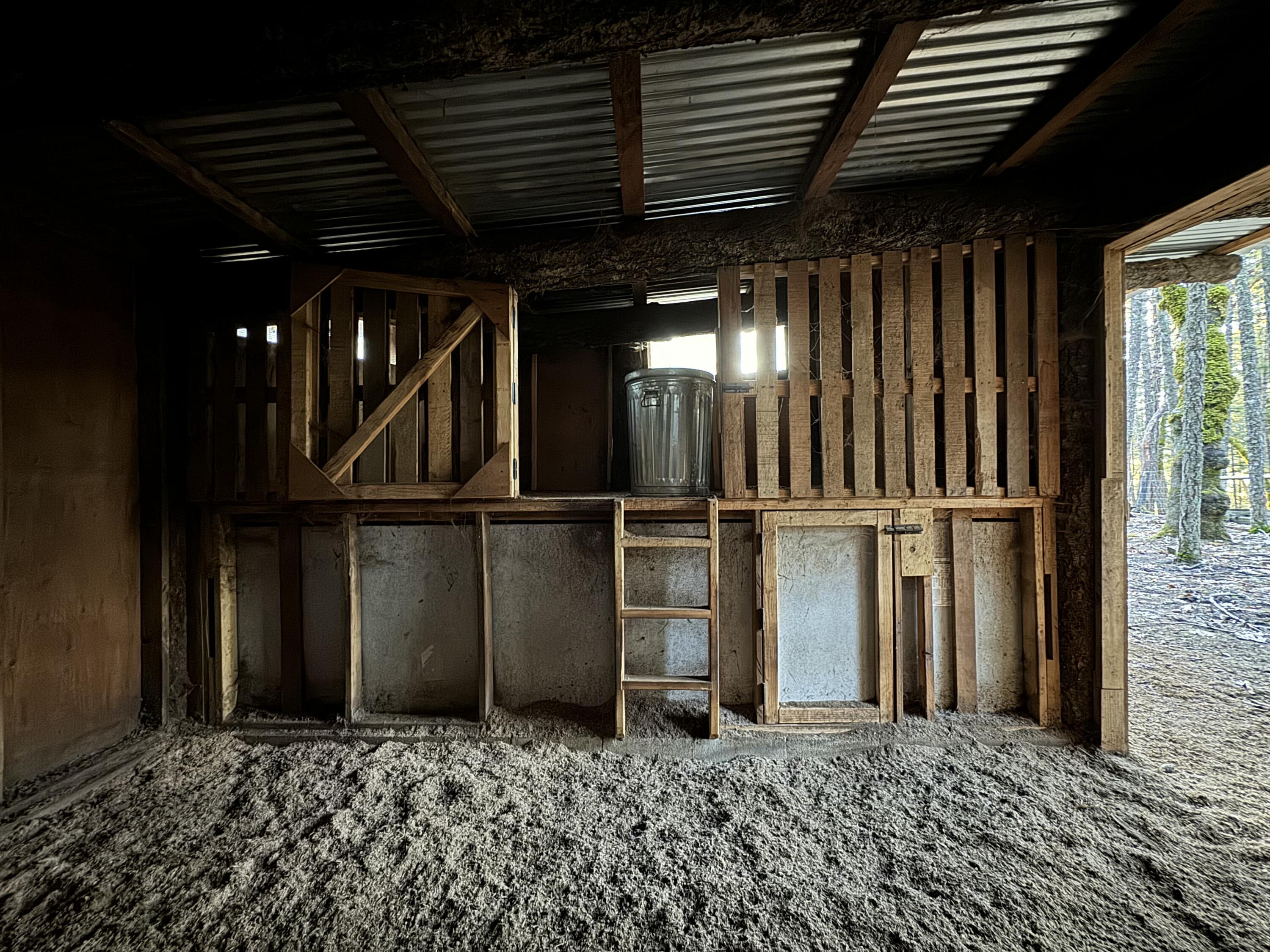 Unfinished outbuilding interior with a raised wooden storage platform, ladder, and dirt floor.