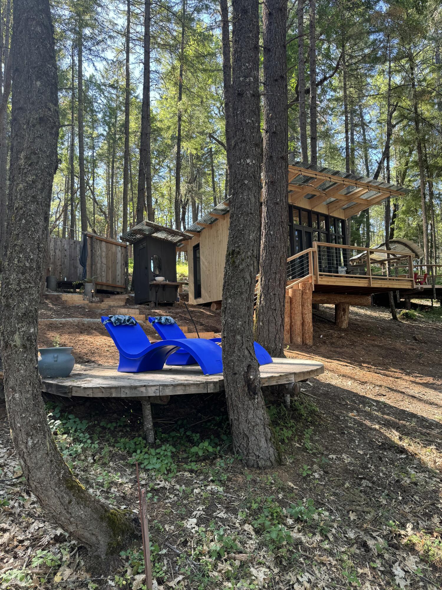Modern cabin nestled among tall trees, with a raised deck and blue lounge chairs on a wooden platform.