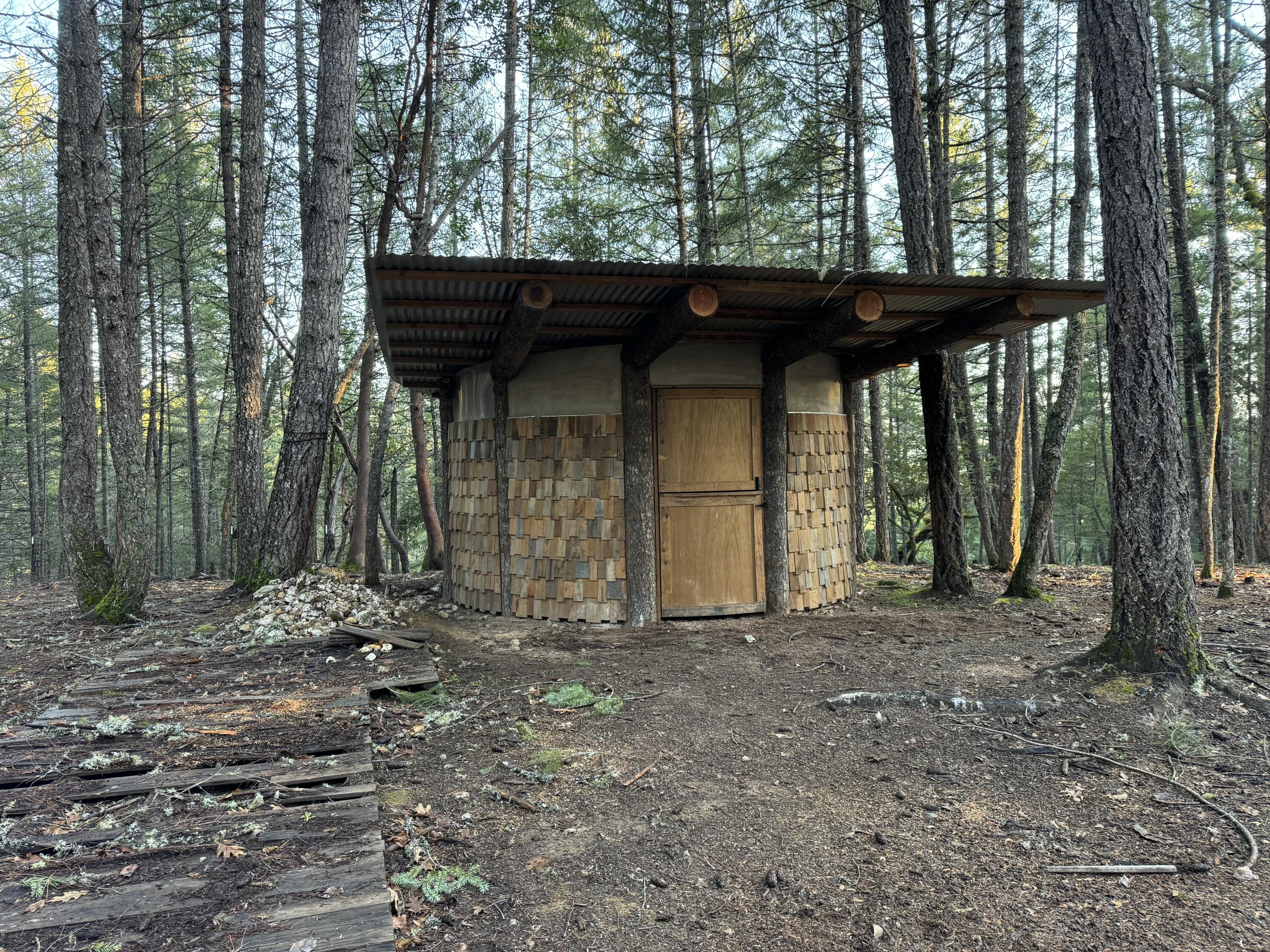 Round wooden outbuilding with shingle siding and a broad roof among tall evergreen trees.