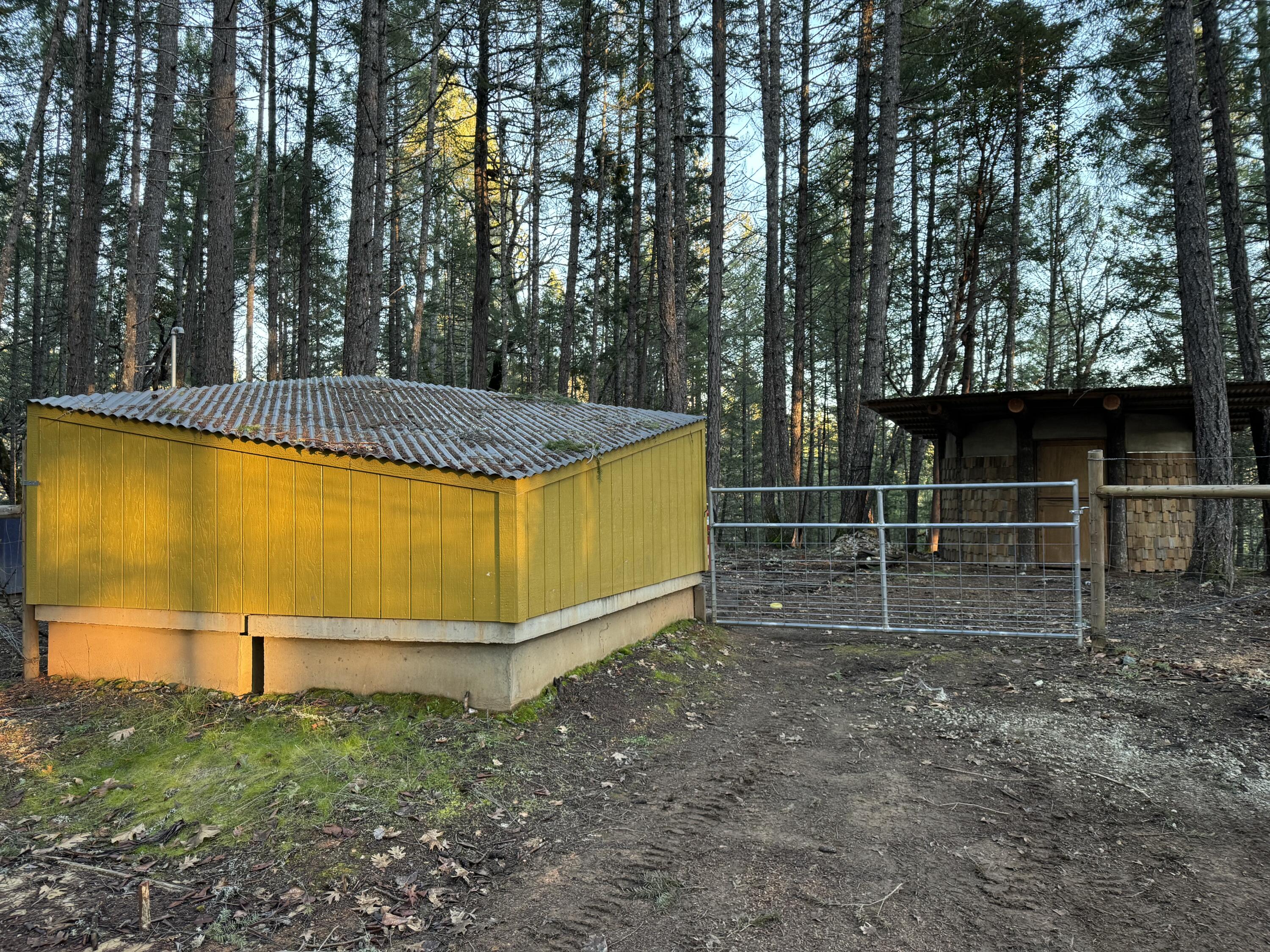 Yellow corrugated-roof shed and metal gate among tall trees.