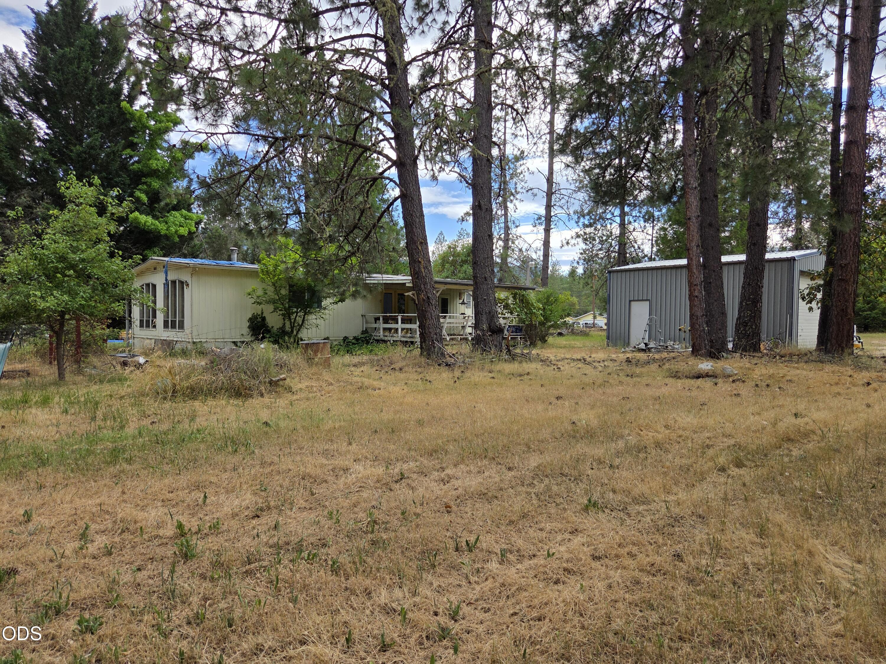 Manufactured home and metal outbuilding in a dry, pine-shaded yard.