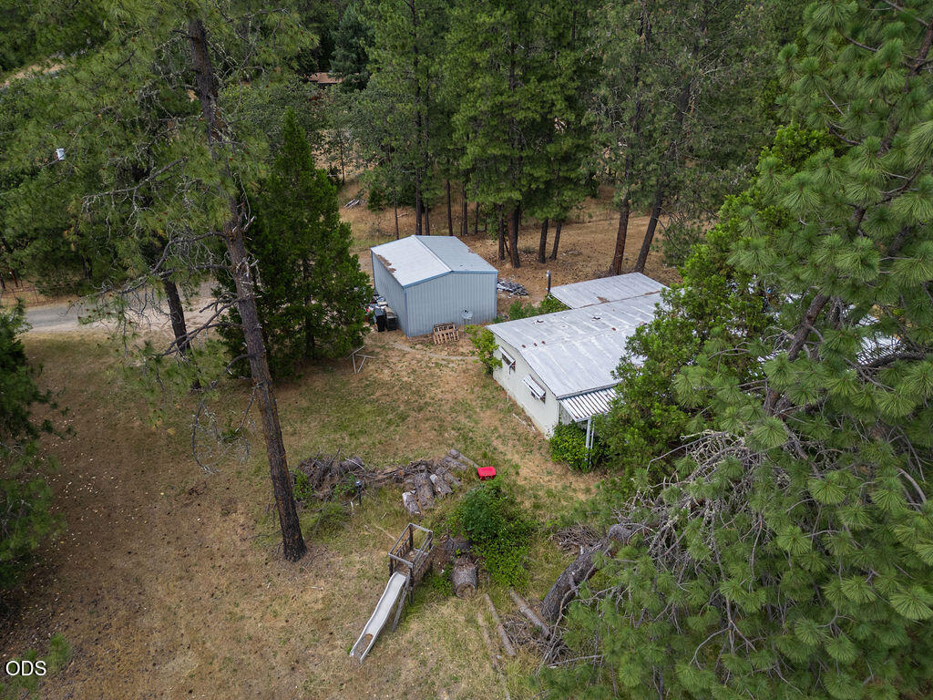 Aerial view of a home and outbuilding among pine trees, with a small slide in the yard.