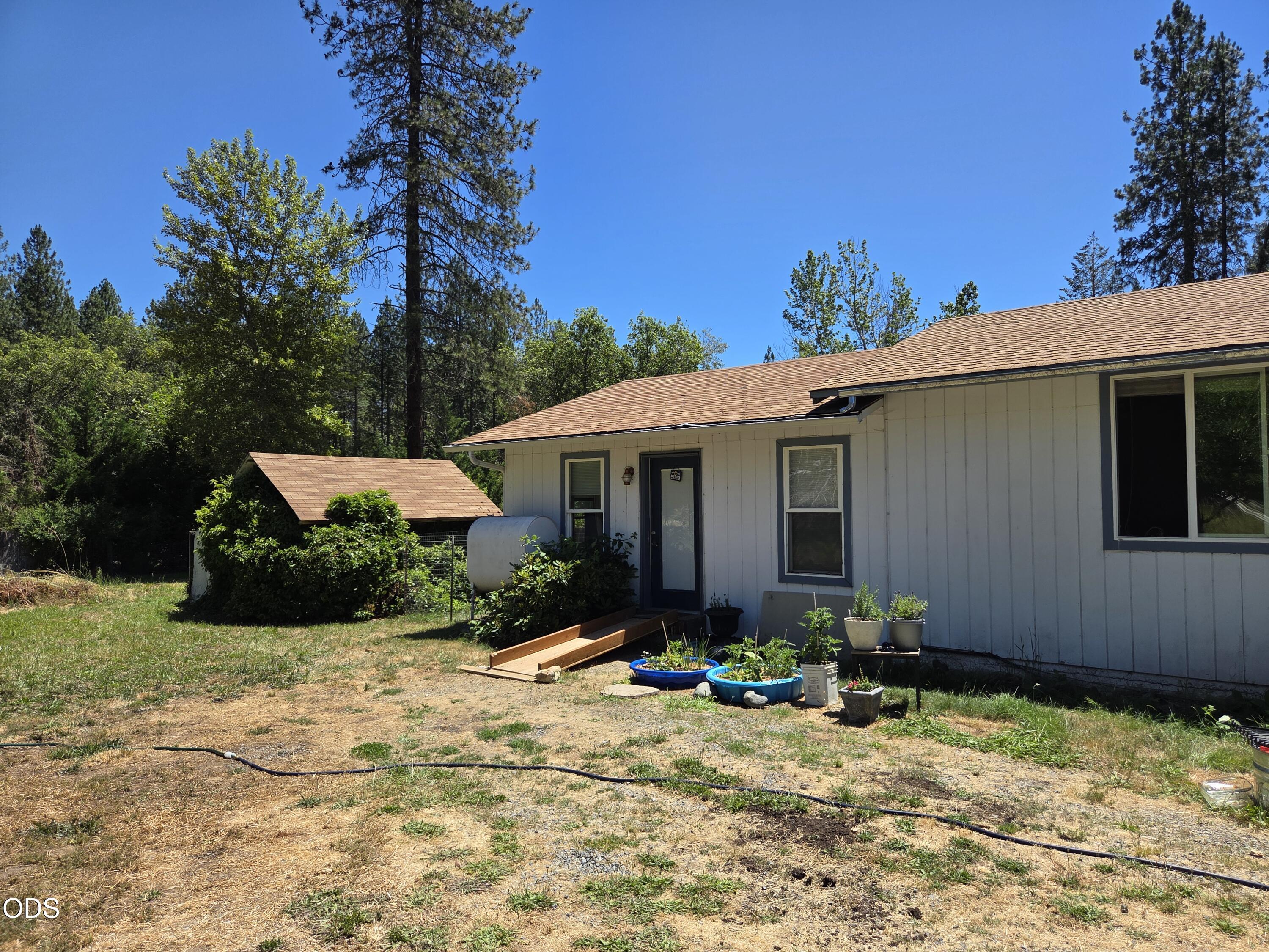 Single-story house with light siding and a dry yard surrounded by tall trees.