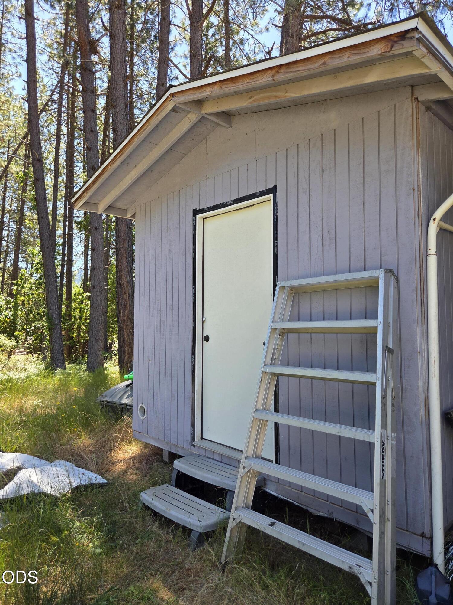 Small outbuilding among pine trees, with a white door, metal ladder, and entrance steps.