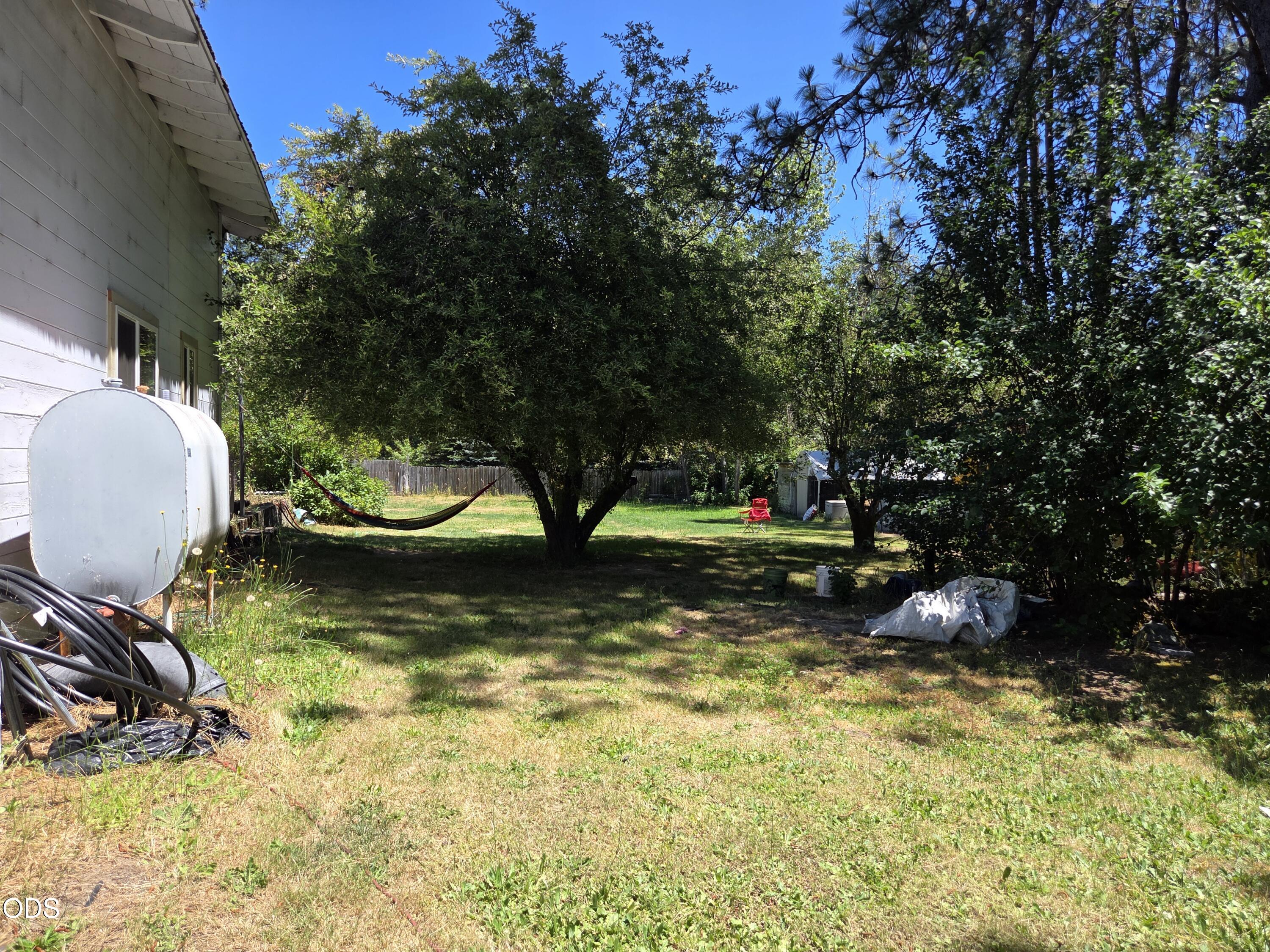 Backyard with mature trees, a hammock, and patchy lawn beside the house.