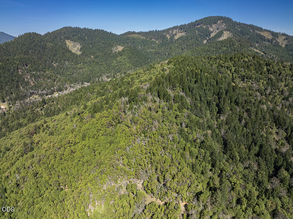 Aerial view of densely forested hills and mountain ridges beneath a clear blue sky.