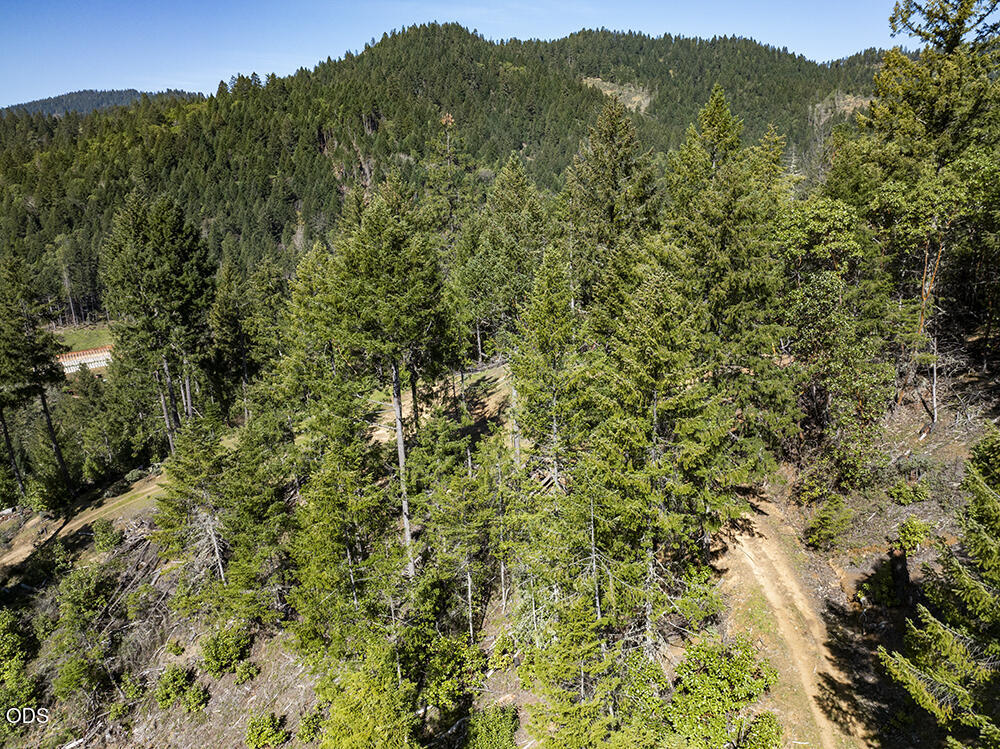 Aerial view of wooded land with a winding dirt road and forested hills.