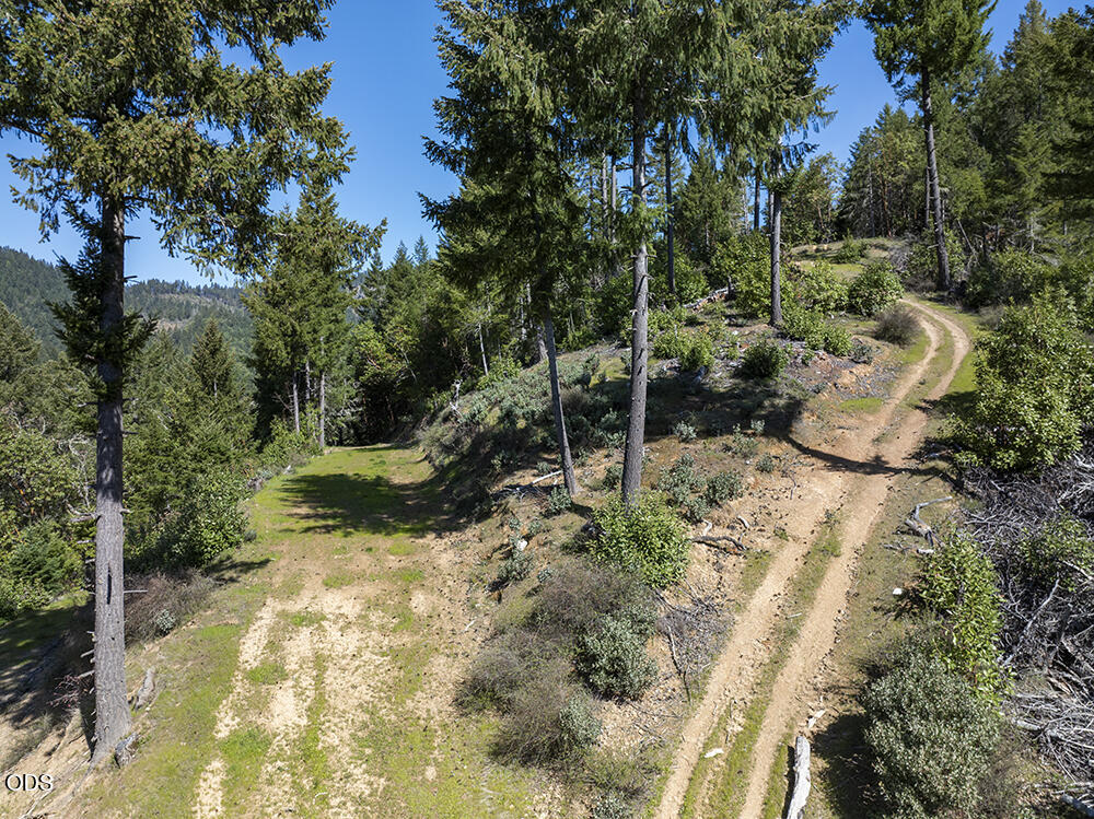 Wooded hillside property with a winding dirt track and grassy clearing.
