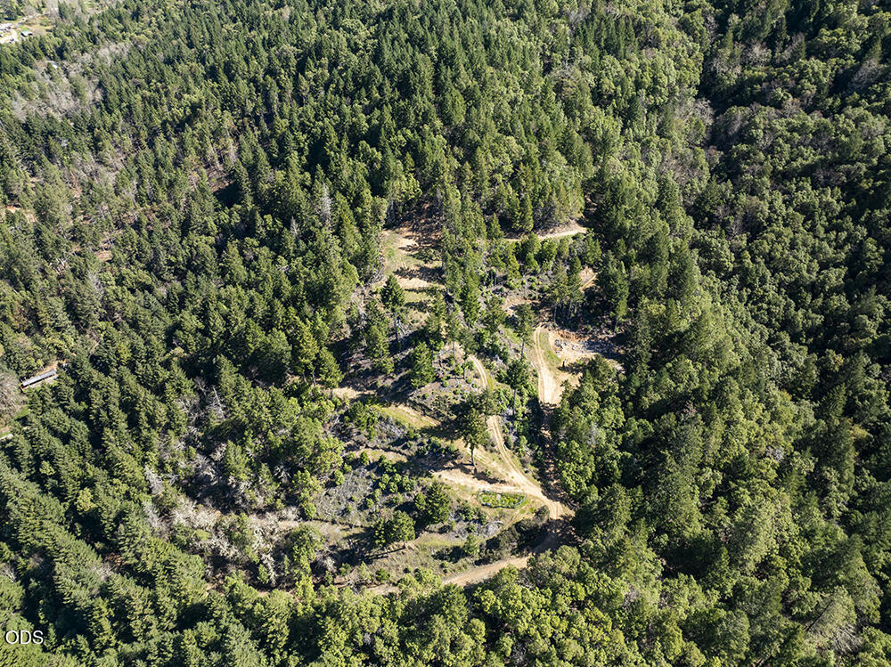 Aerial view of a forested property with open clearings and winding dirt access roads.