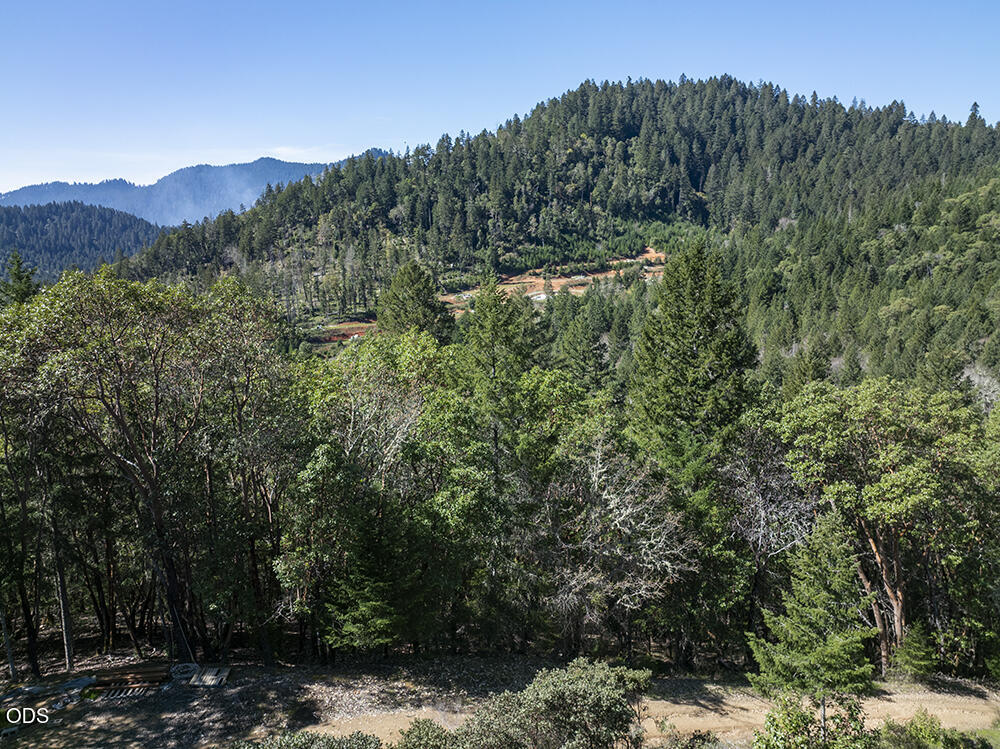 Wooded property with dense foreground trees and a forested hillside beyond.