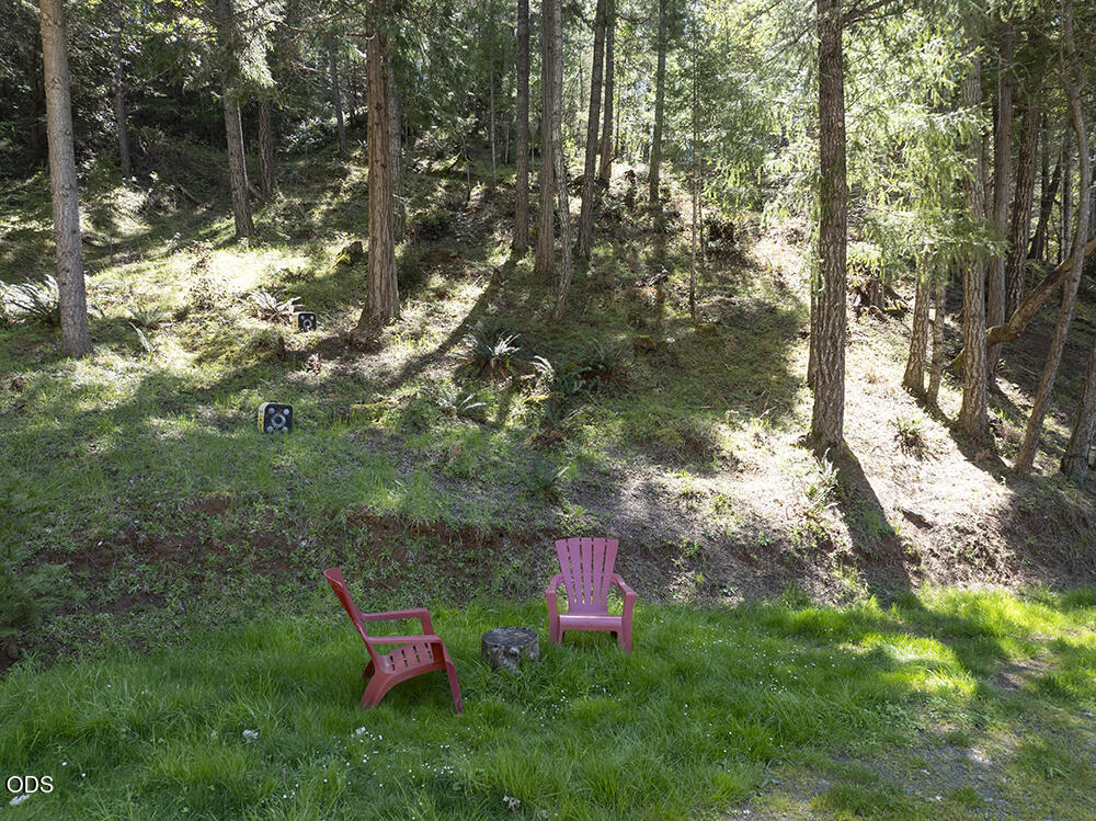 Grassy clearing with two red Adirondack chairs at the edge of a wooded hillside.