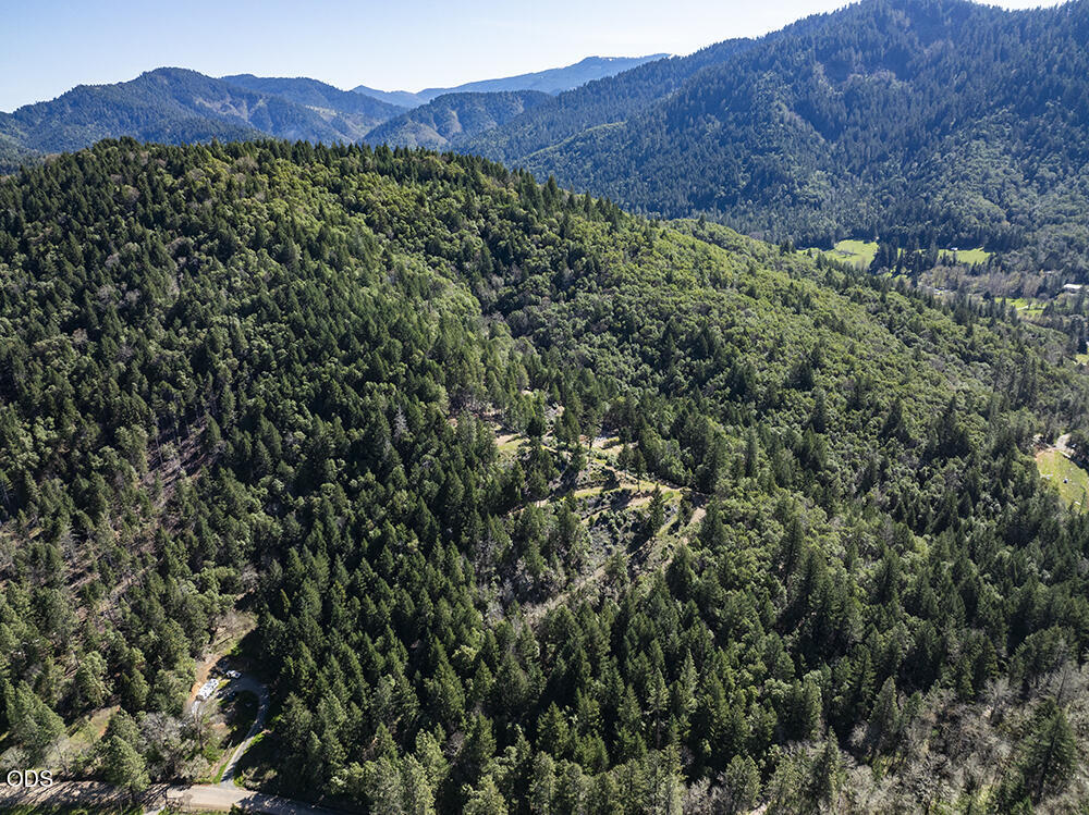 Aerial view of forested mountain land with a creek, road, and small clearing.