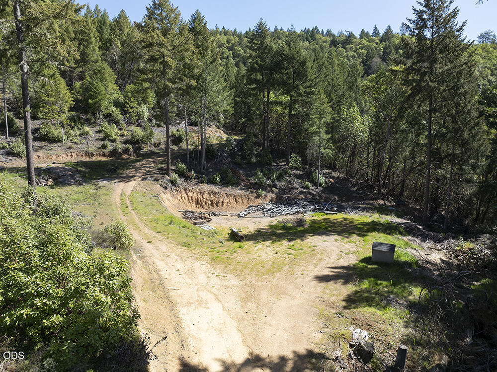 Wooded property clearing with a curved dirt track and an excavated area near the trees.