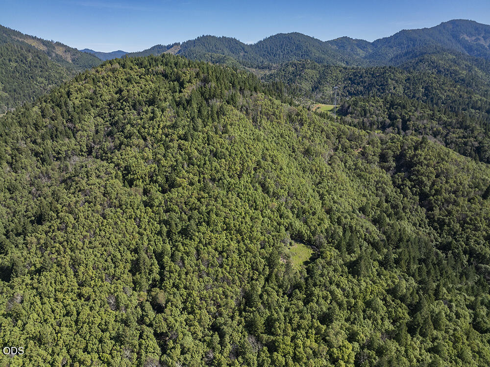 Aerial view of forested mountain land, with green hills and distant ridgelines.