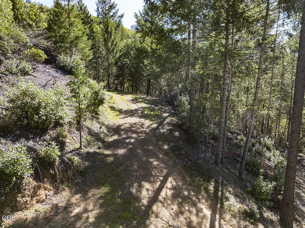 Dirt track winding through a densely wooded property with sloping terrain.