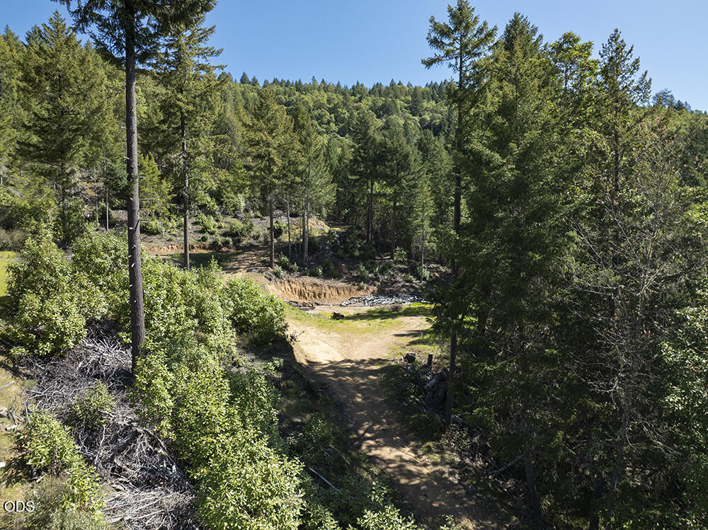 Wooded property with a dirt track leading through a clearing to a small creek.