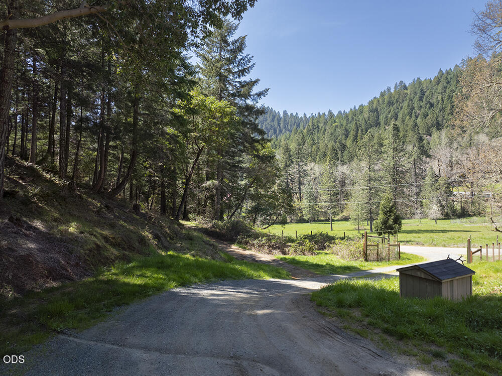 Rural gravel driveway curves past a small shed toward a grassy clearing surrounded by wooded hills.