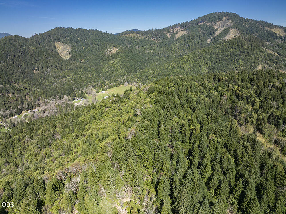 Aerial view of forested mountain slopes and a small clearing with buildings.