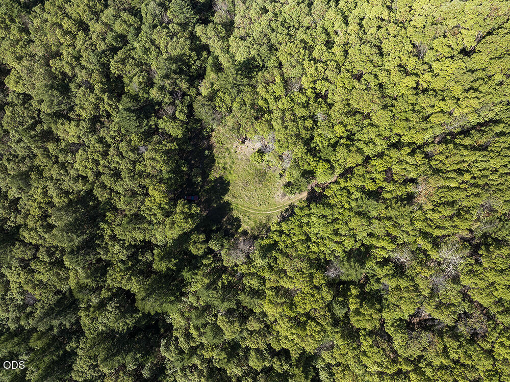 Aerial view of a wooded property with a small clearing and curved dirt track.
