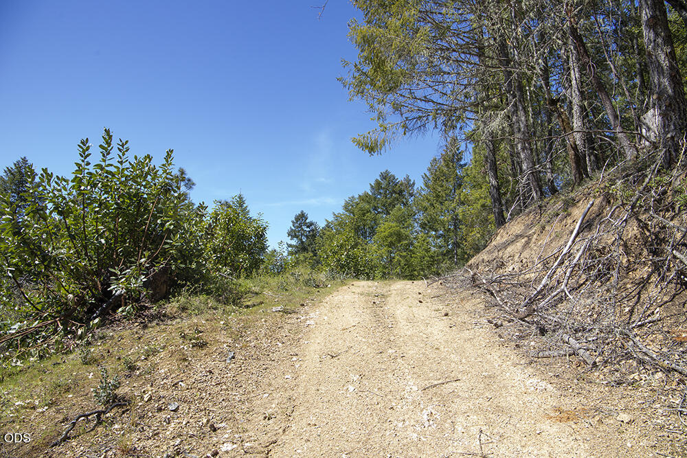 Dirt track through wooded land, climbing beside an exposed hillside.
