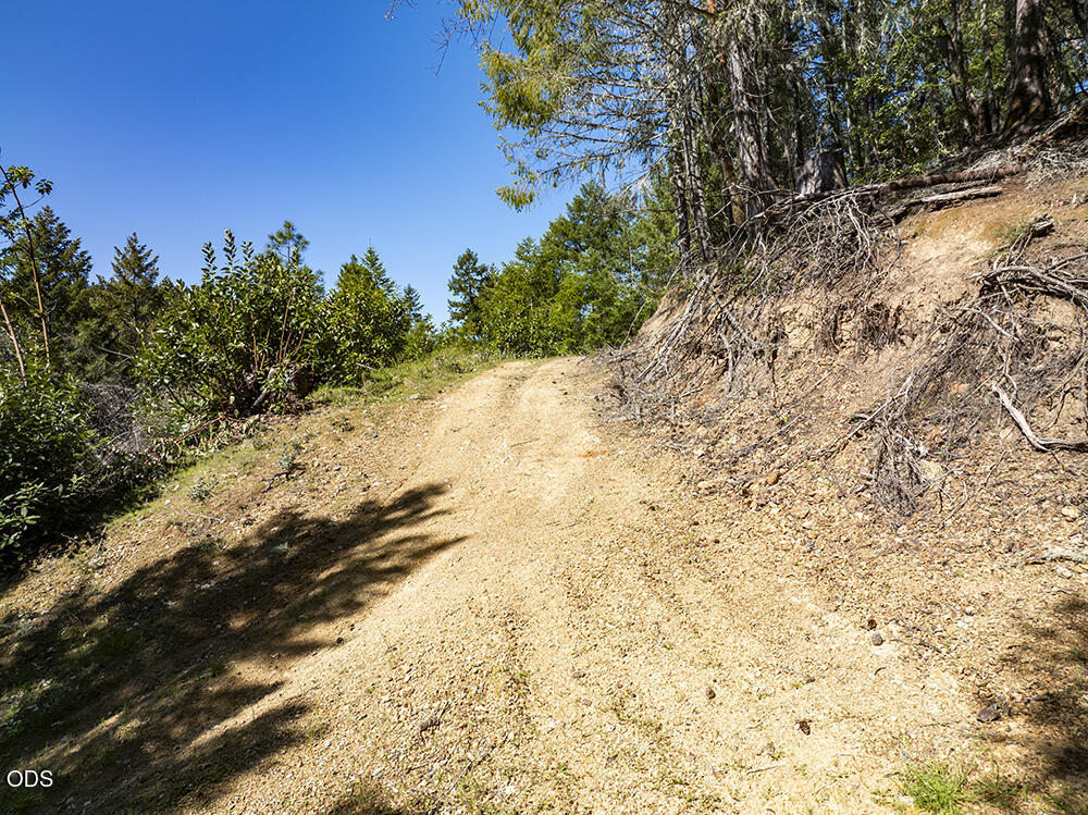Gravel road climbing uphill through trees beside a dry, exposed hillside.