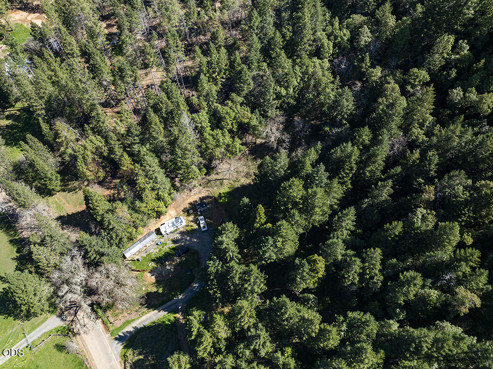 Aerial view of a wooded property with a clearing, structures, and a driveway.
