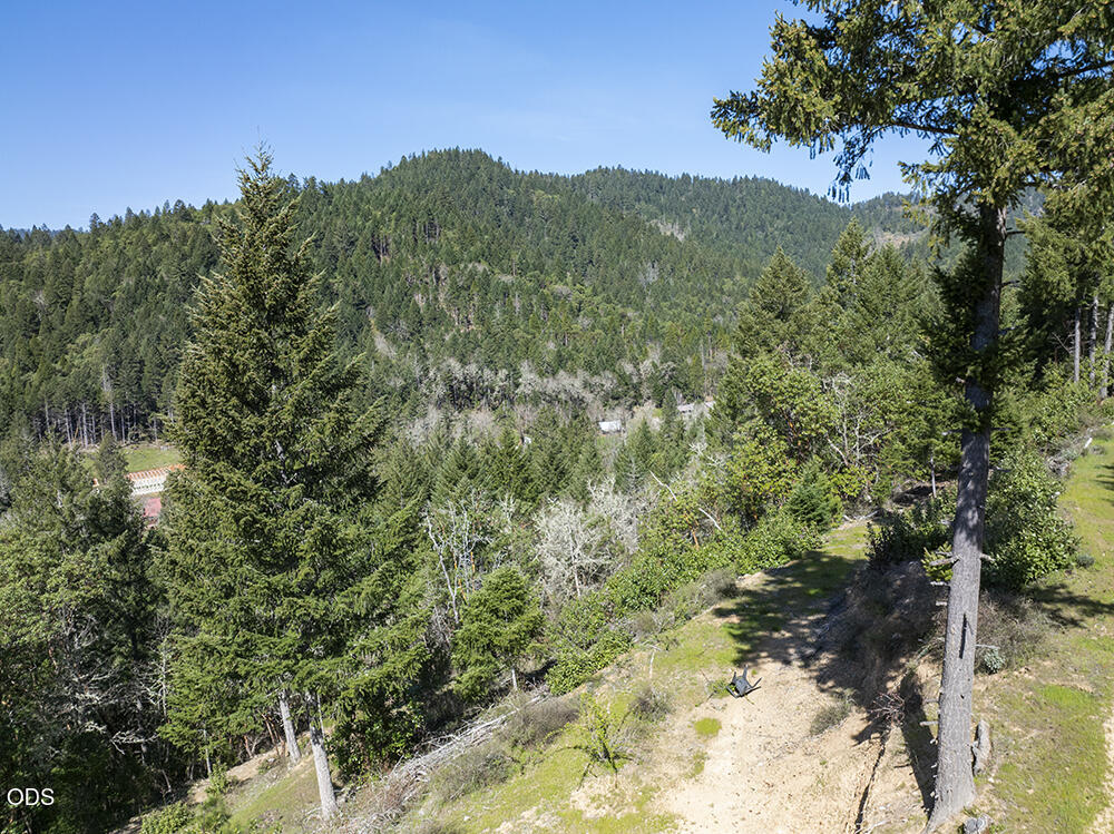 Wooded hillside and mountain ridge viewed from a sunny, grassy slope.