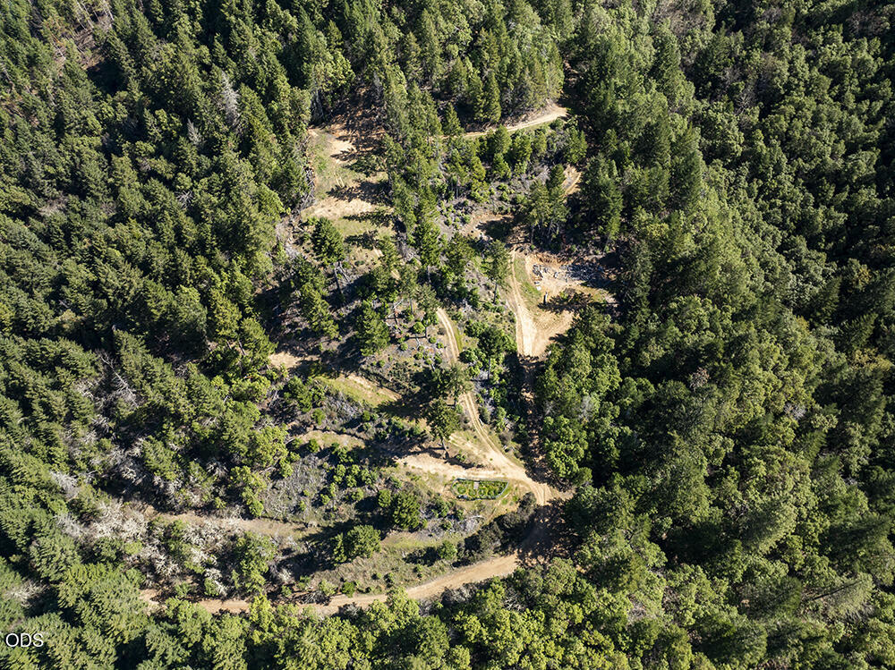 Aerial view of forested land with dirt roads winding between clearings.