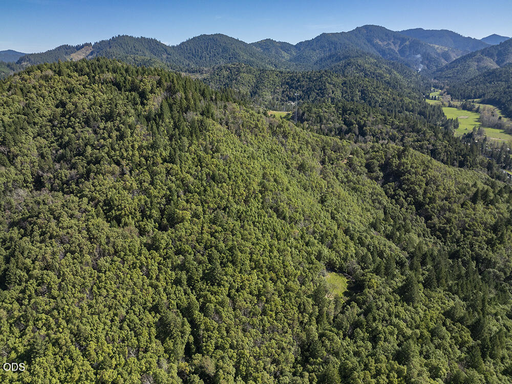 Aerial view of forested hills and distant mountain ridges.