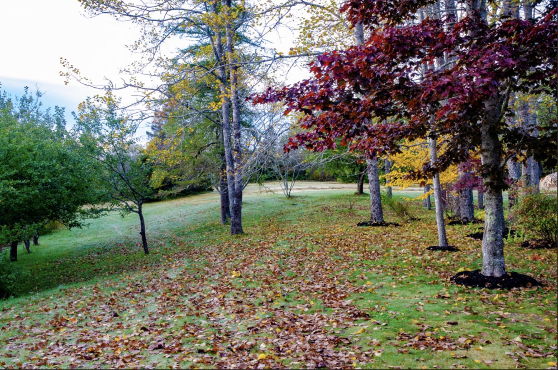 1491 Indian River Road
