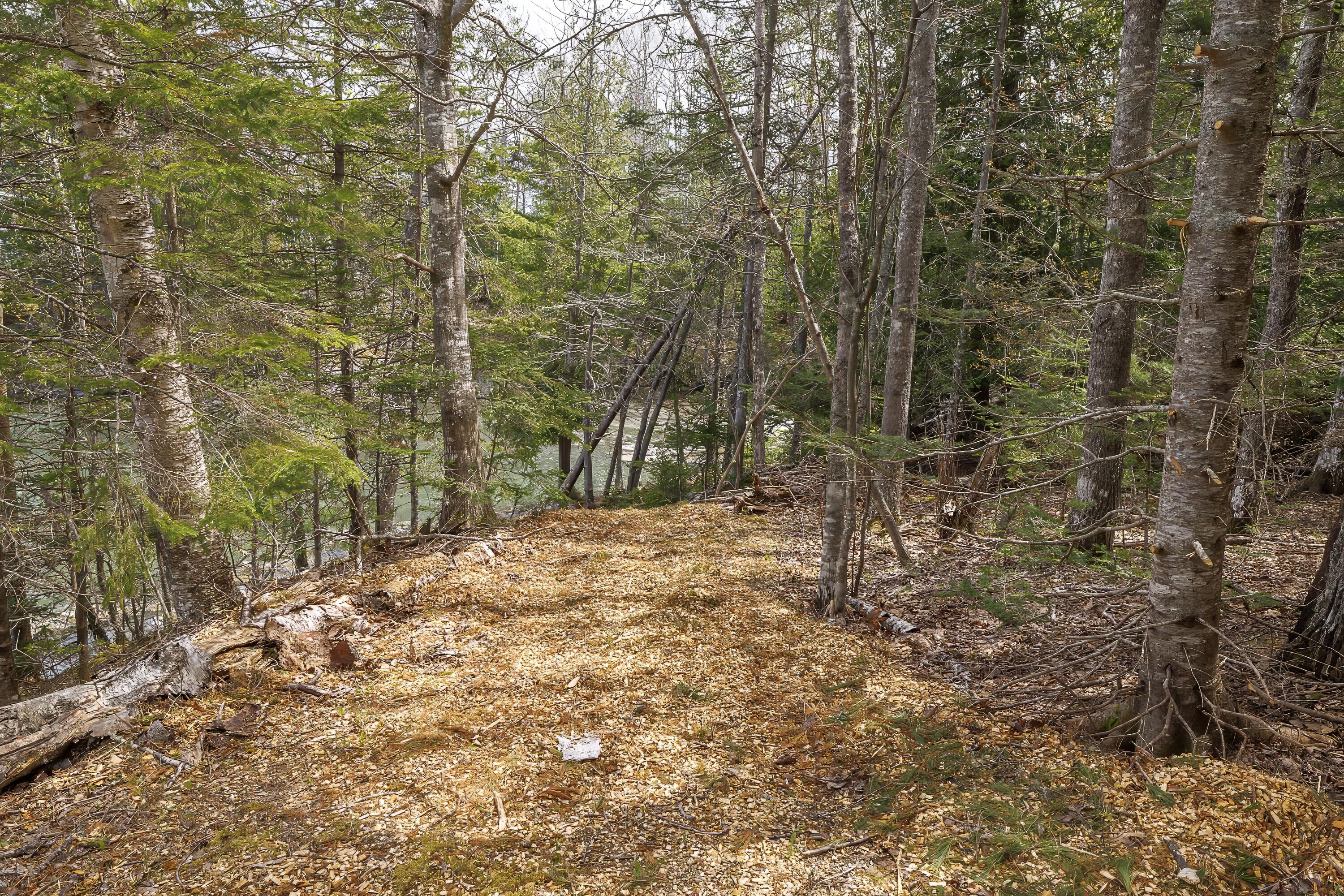 373 Seal Point Road