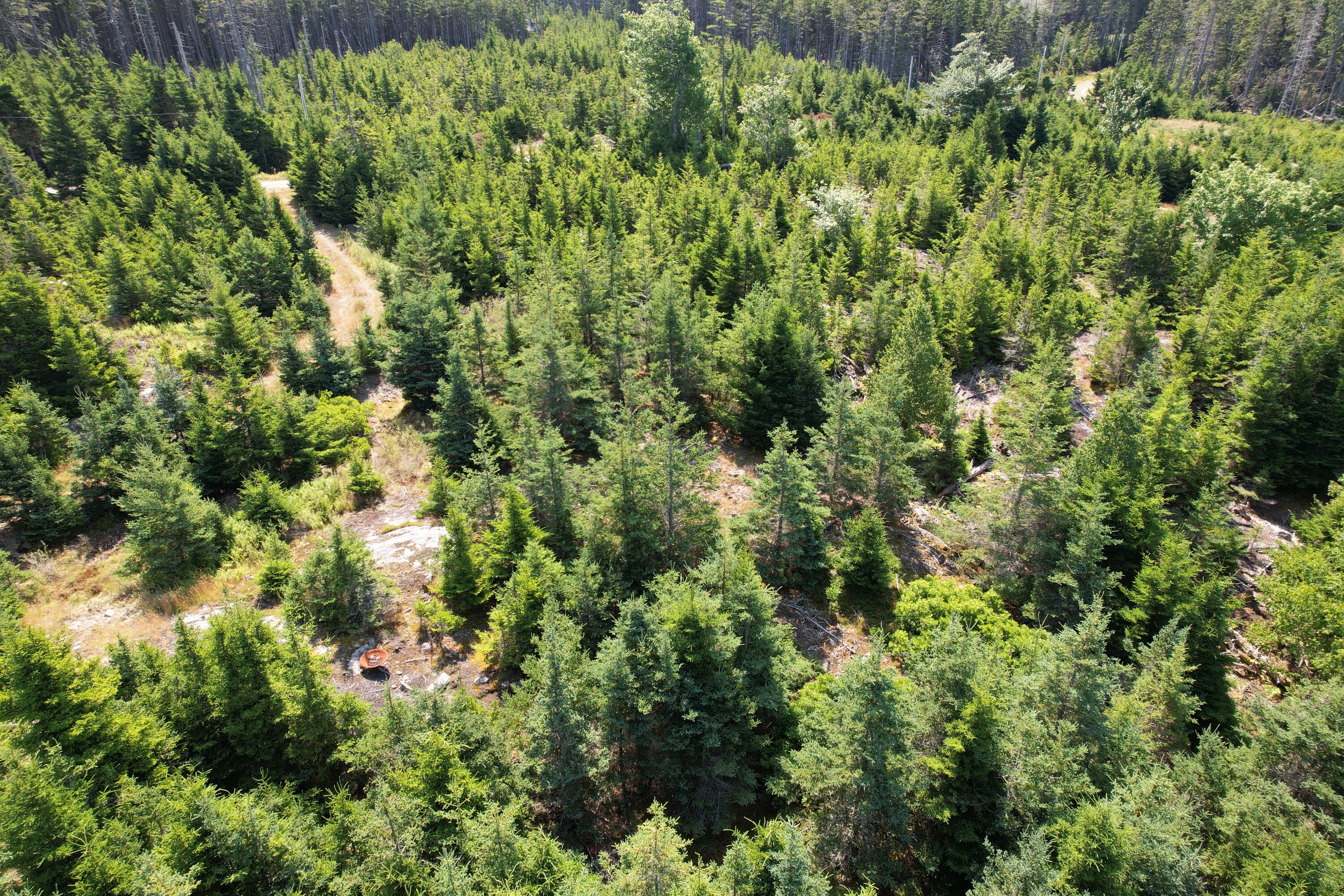lot 9 Jericho Bay Road