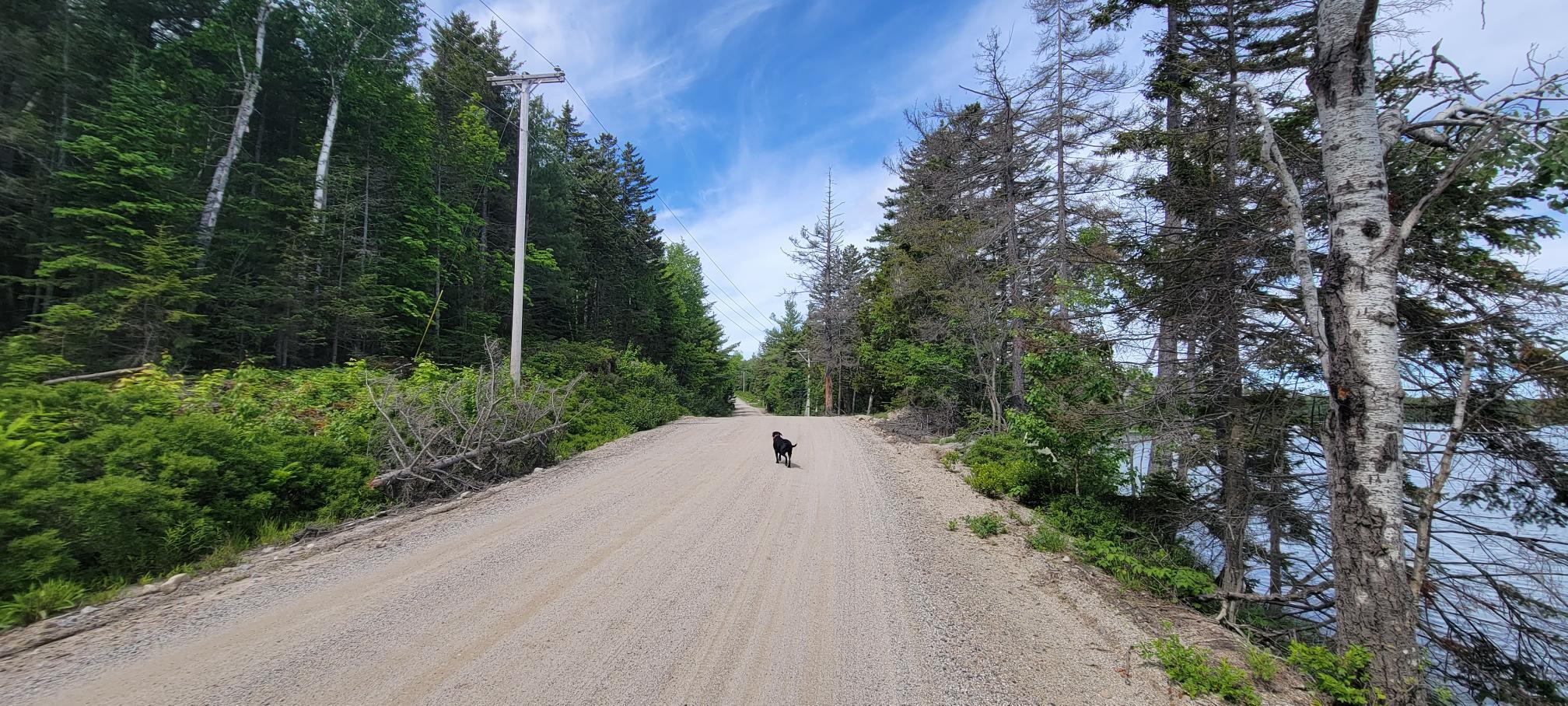 Map2Lot 20 South Bay Road