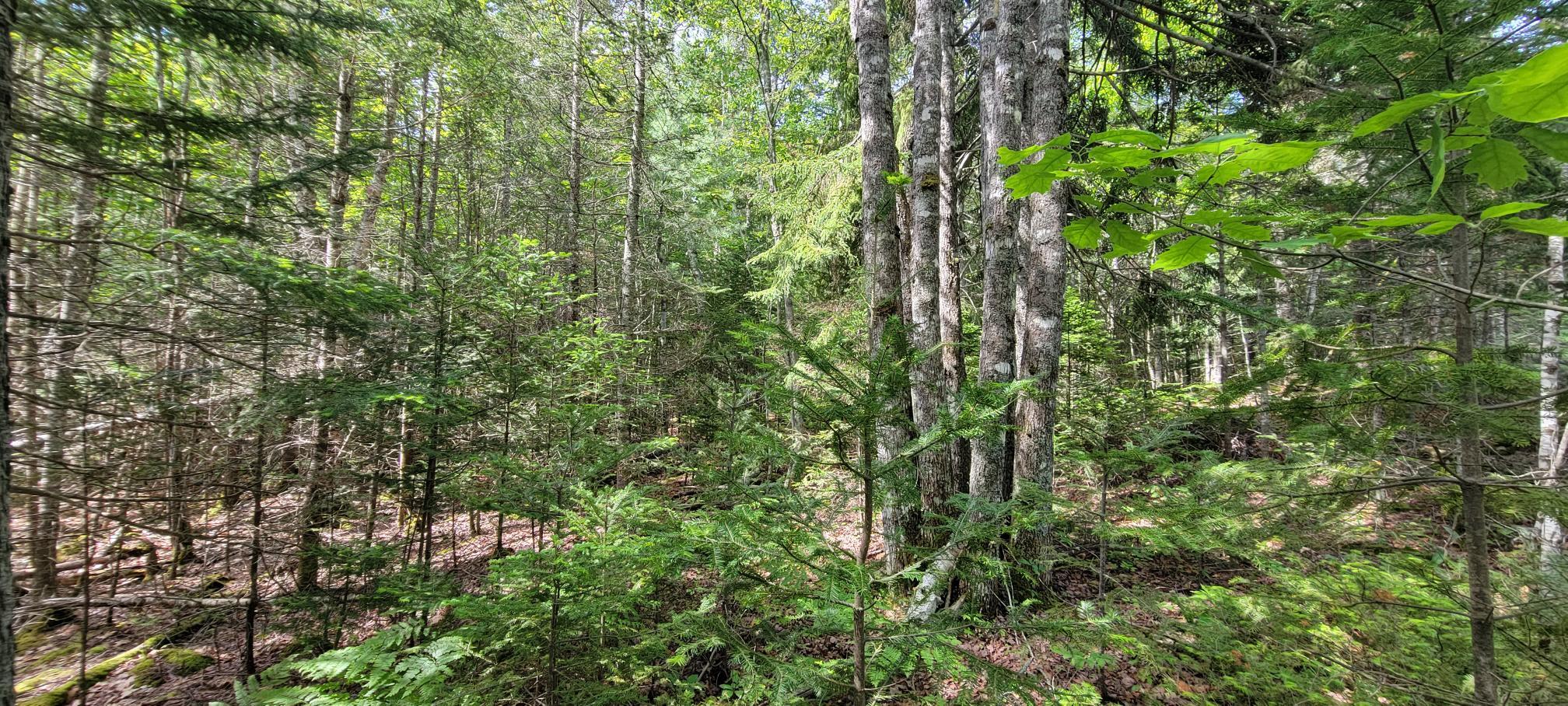 Map2Lot 20 South Bay Road